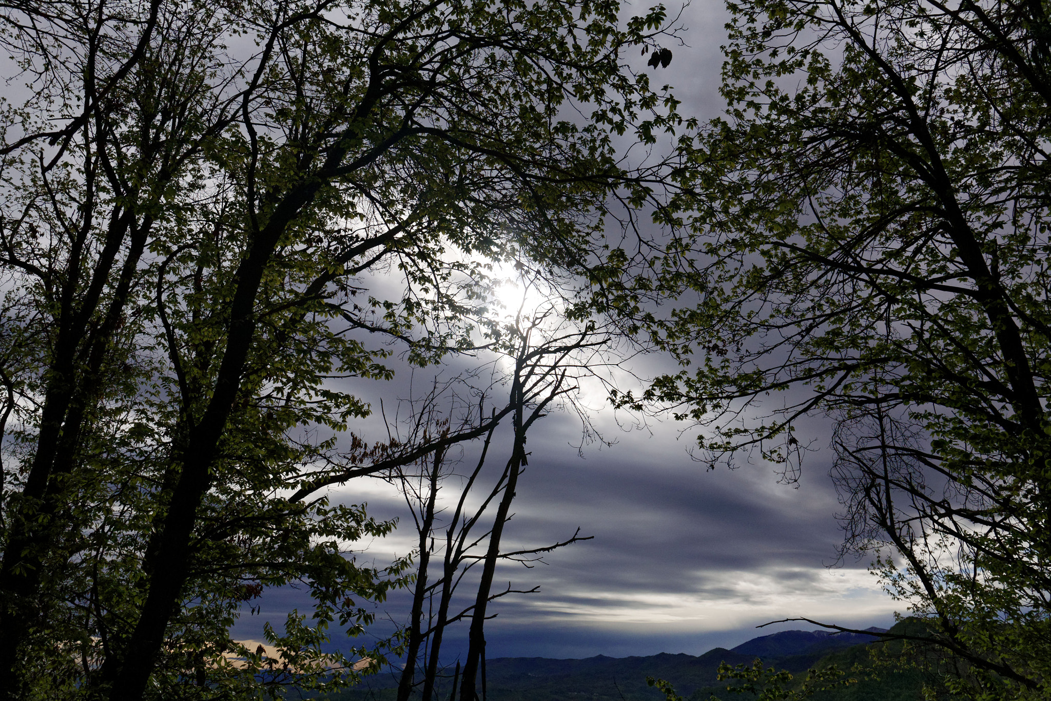 Canon EF 24-105mm F3.5-5.6 IS STM sample photo. Storm photography