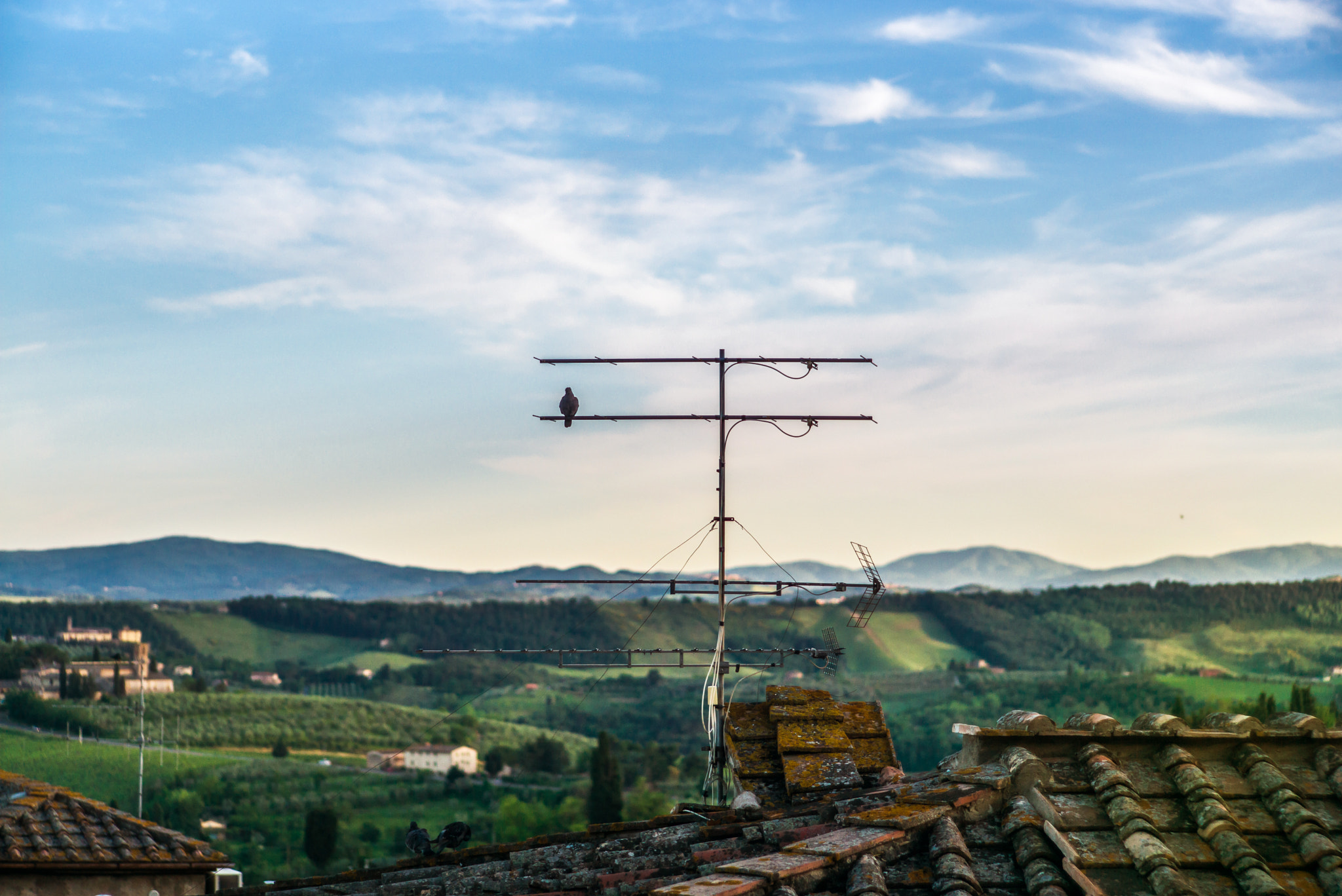 Elmarit-M 1:2.8/90 sample photo. San gimignano, tuscany photography