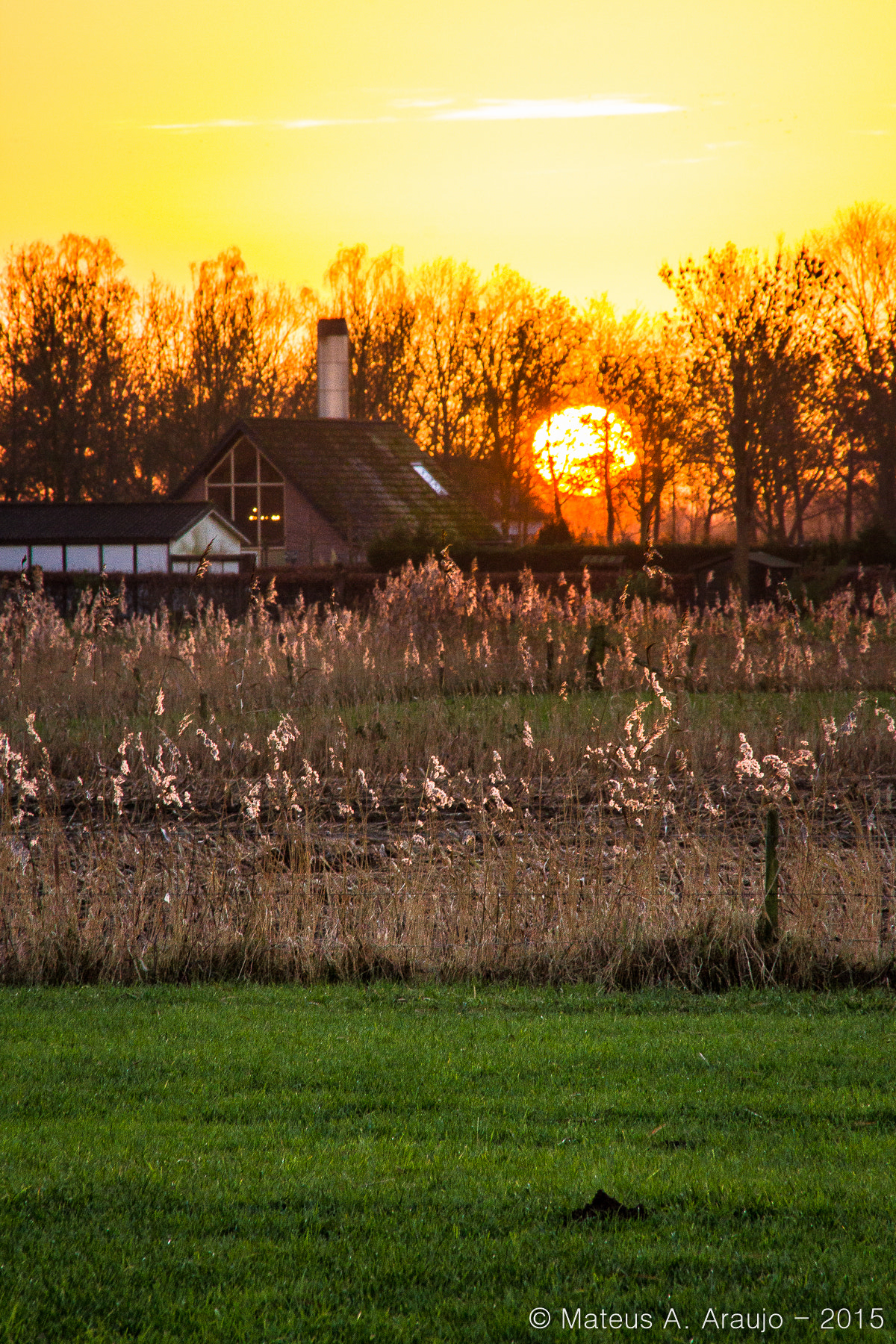 Sigma 18-200mm f/3.5-6.3 DC OS sample photo. Rural countryside in the netherlands photography