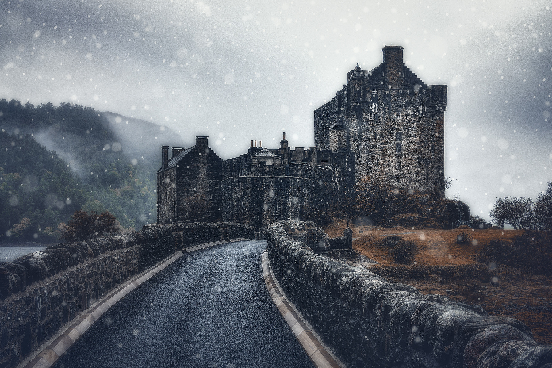 Sony Alpha DSLR-A700 sample photo. Winter is coming photography