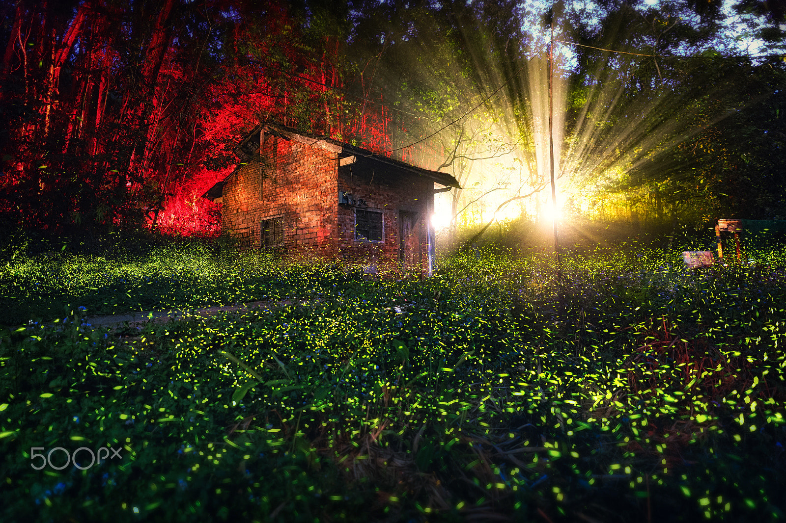 Canon EOS 5DS R + Sigma 20mm F1.4 DG HSM Art sample photo. Firefly house photography