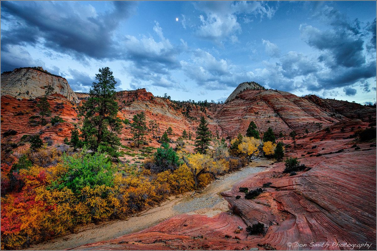 Sony a7R + Canon EF 16-35mm F2.8L II USM sample photo. Zion wash and fall color photography