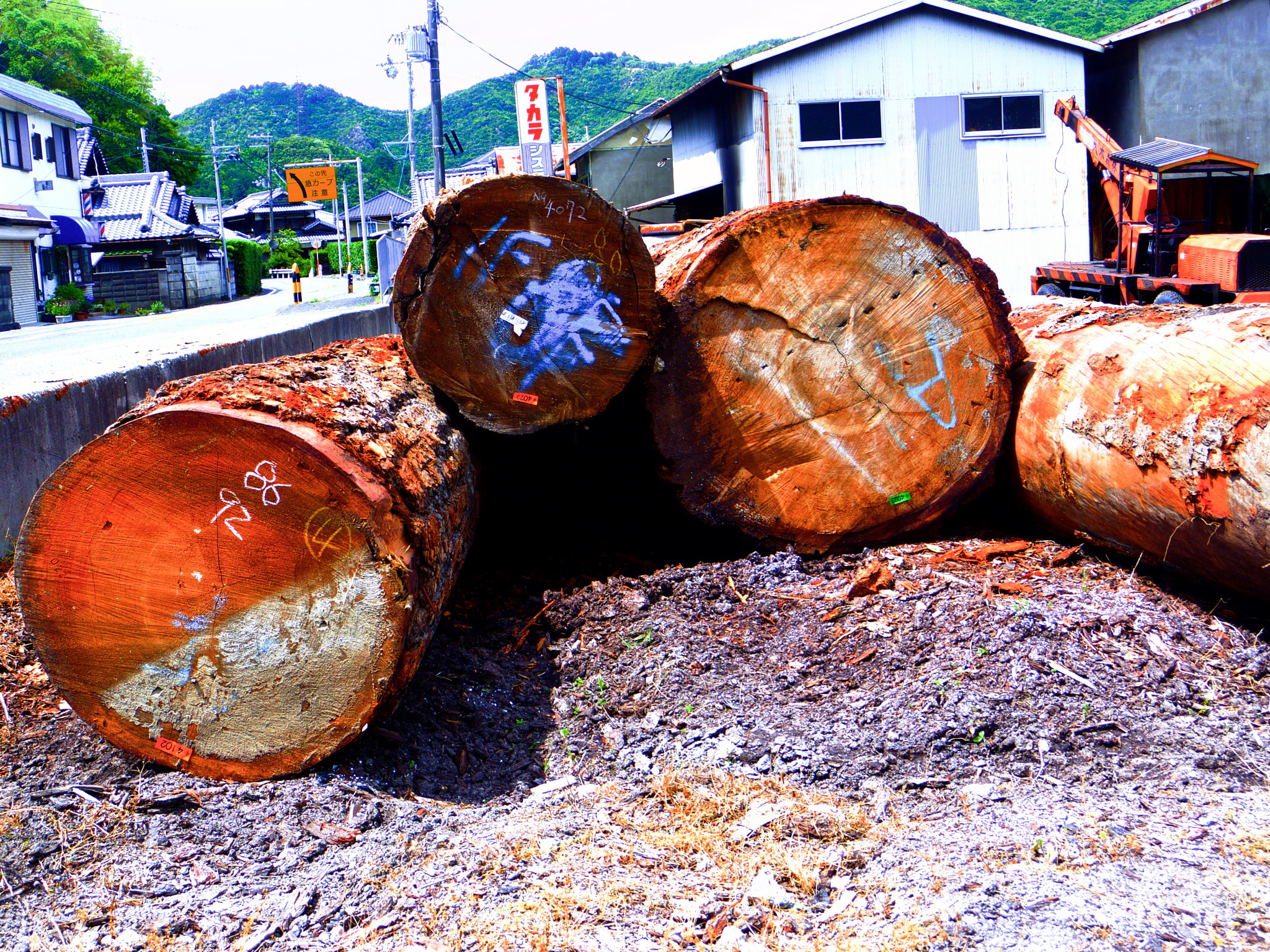 Pentax Q7 sample photo. 27014913926.jpg photography