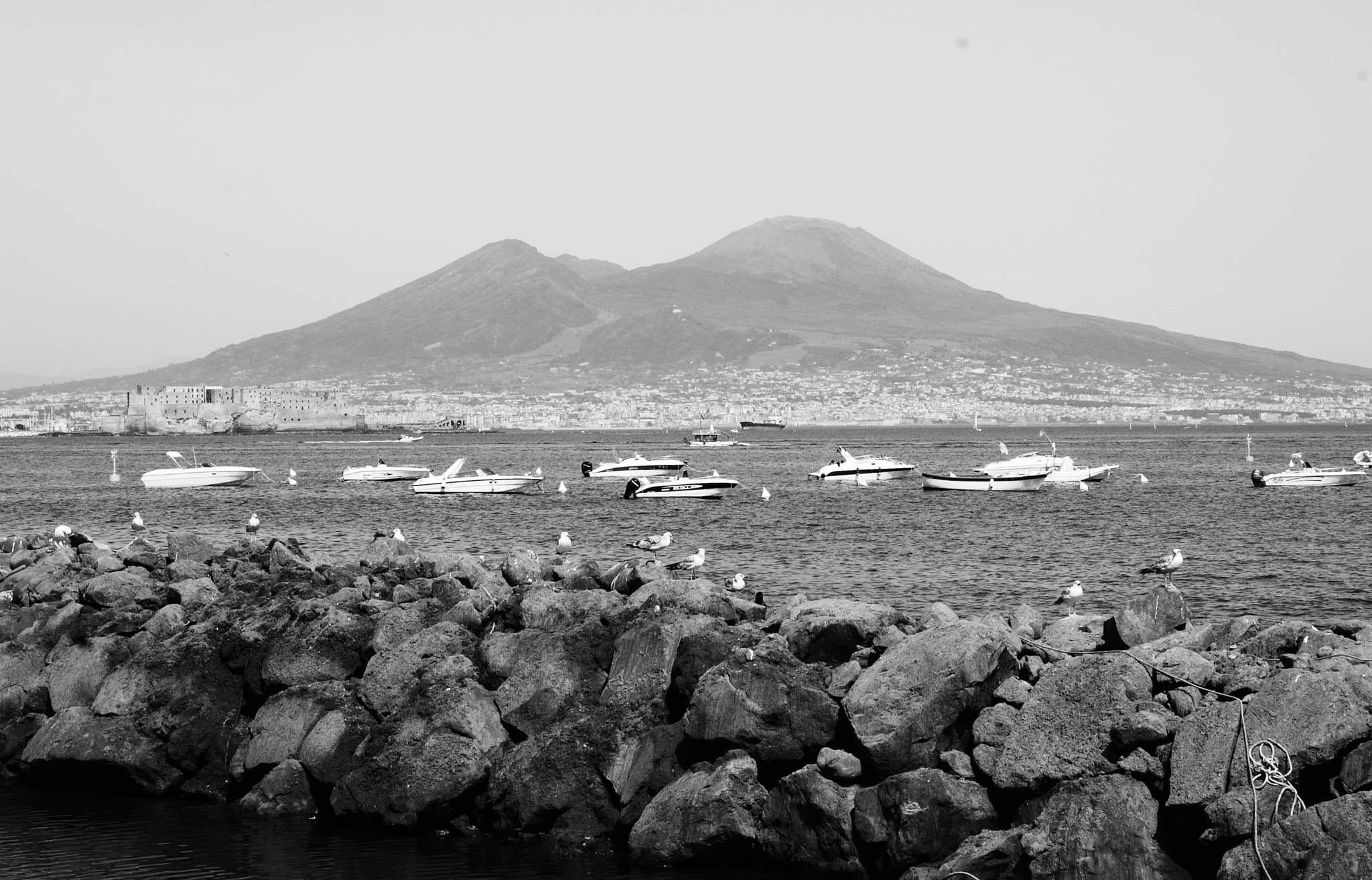Nikon D40 sample photo. Seagulls on the cliff photography
