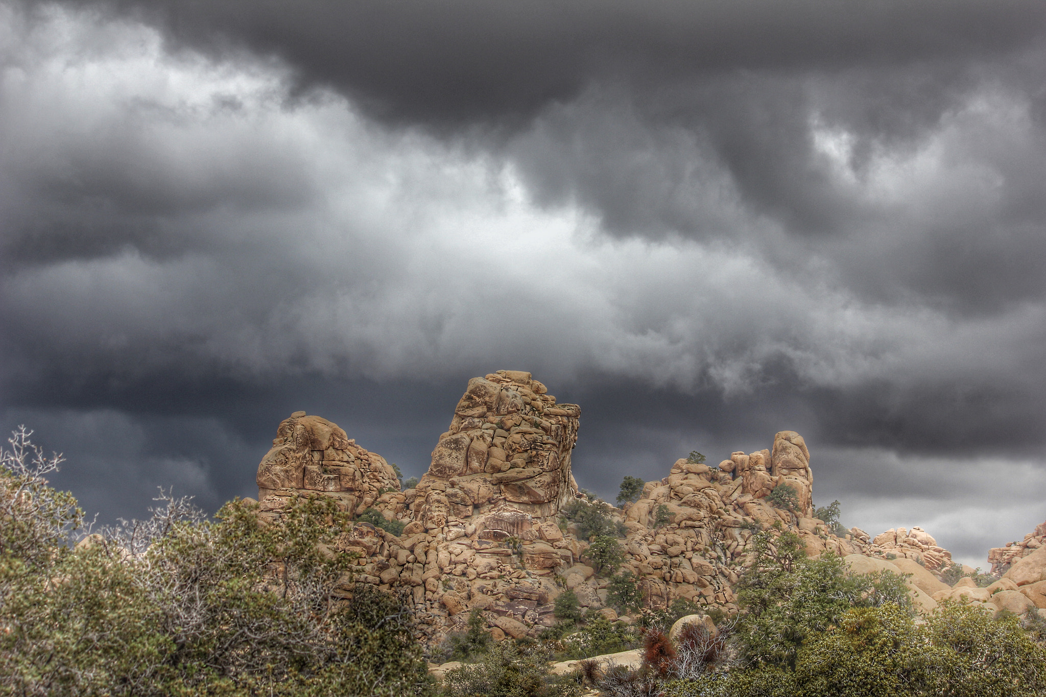 Canon EF-S 55-250mm F4-5.6 IS II sample photo. Joshua tree photography