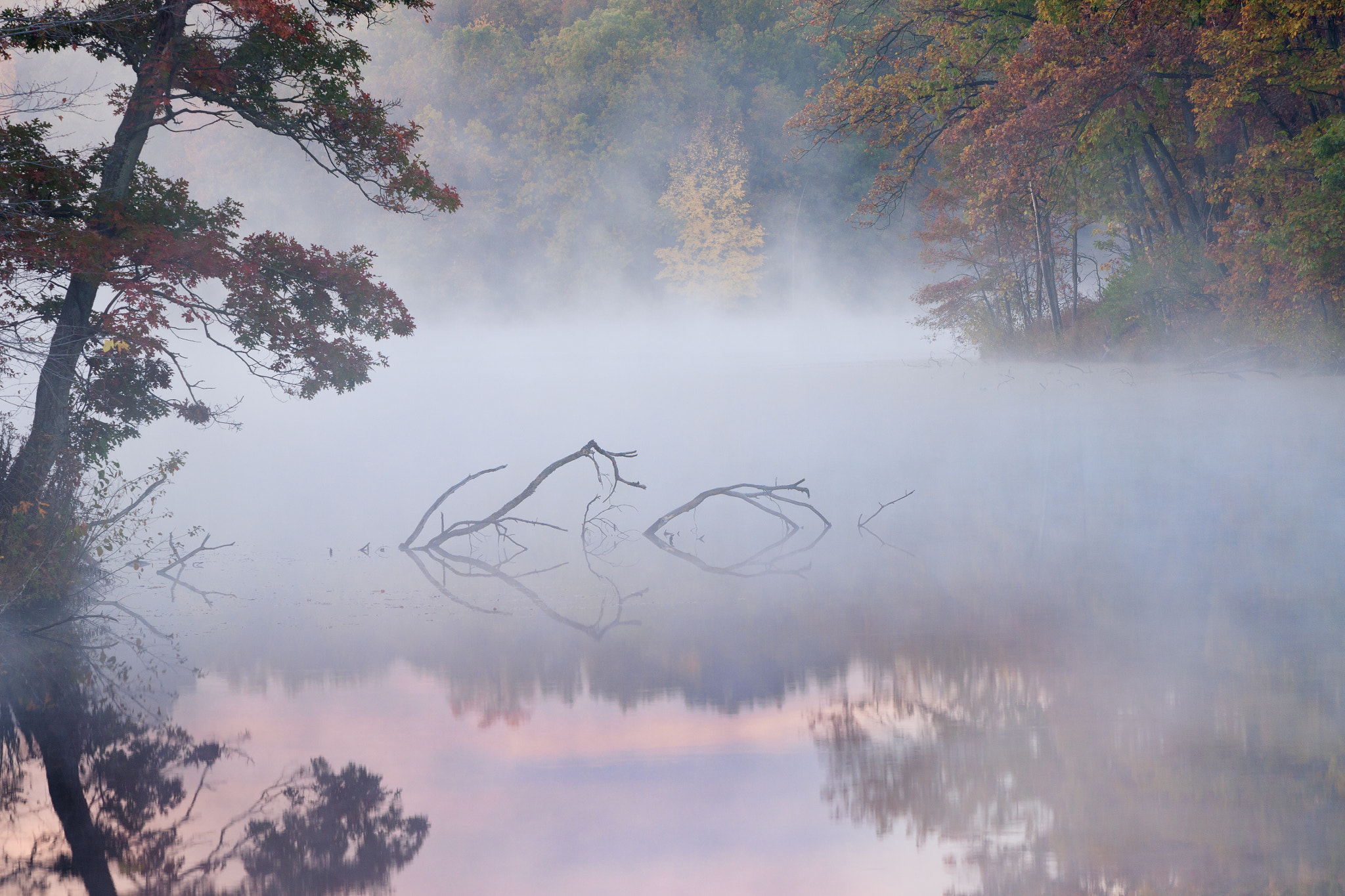 Canon EOS 50D + Canon EF 70-200mm F2.8L USM sample photo. Autumn eagle lake at dawn with fog photography