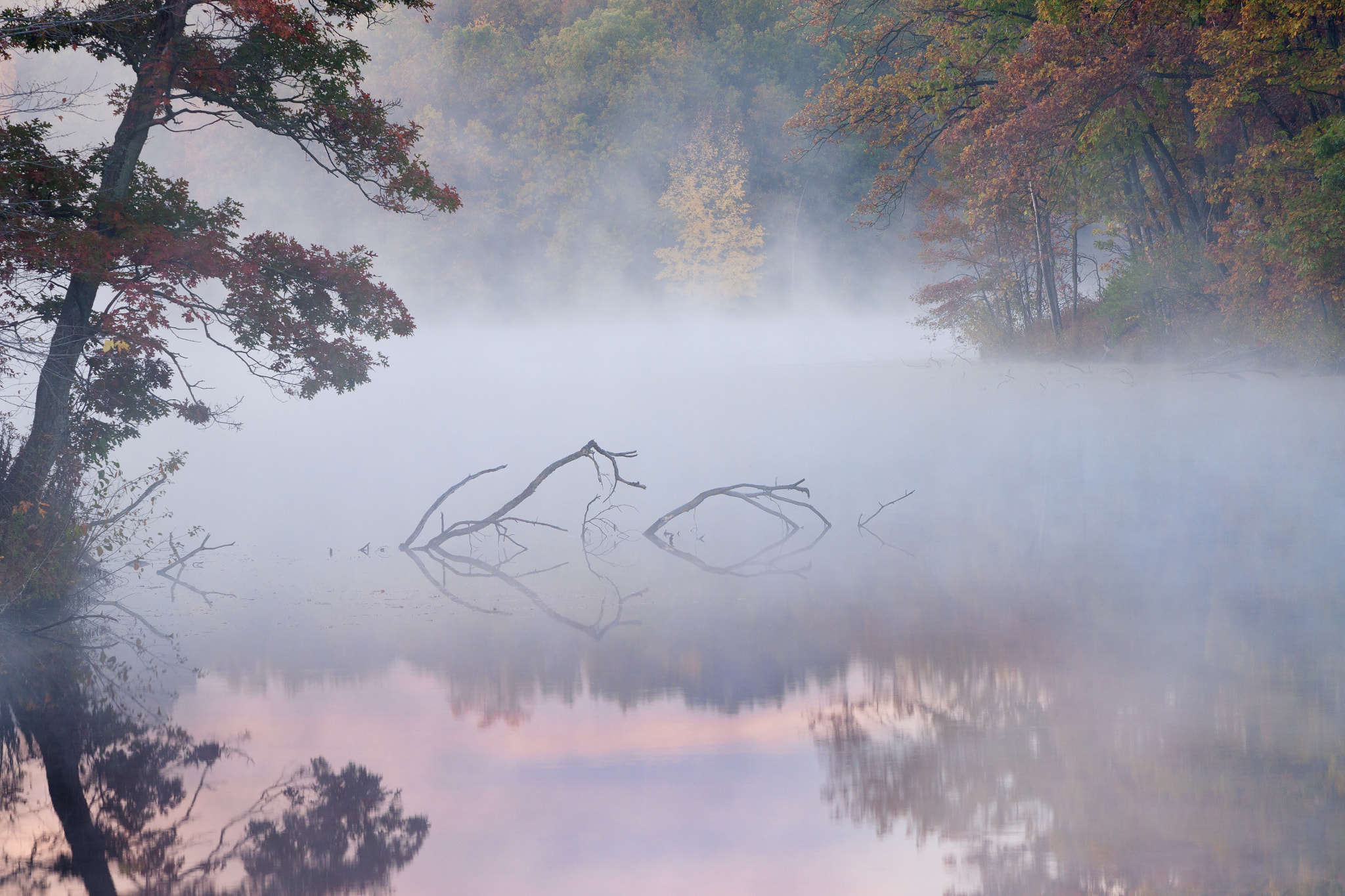 Canon EF 70-200mm F2.8L USM sample photo. Autumn eagle lake at dawn with fog photography