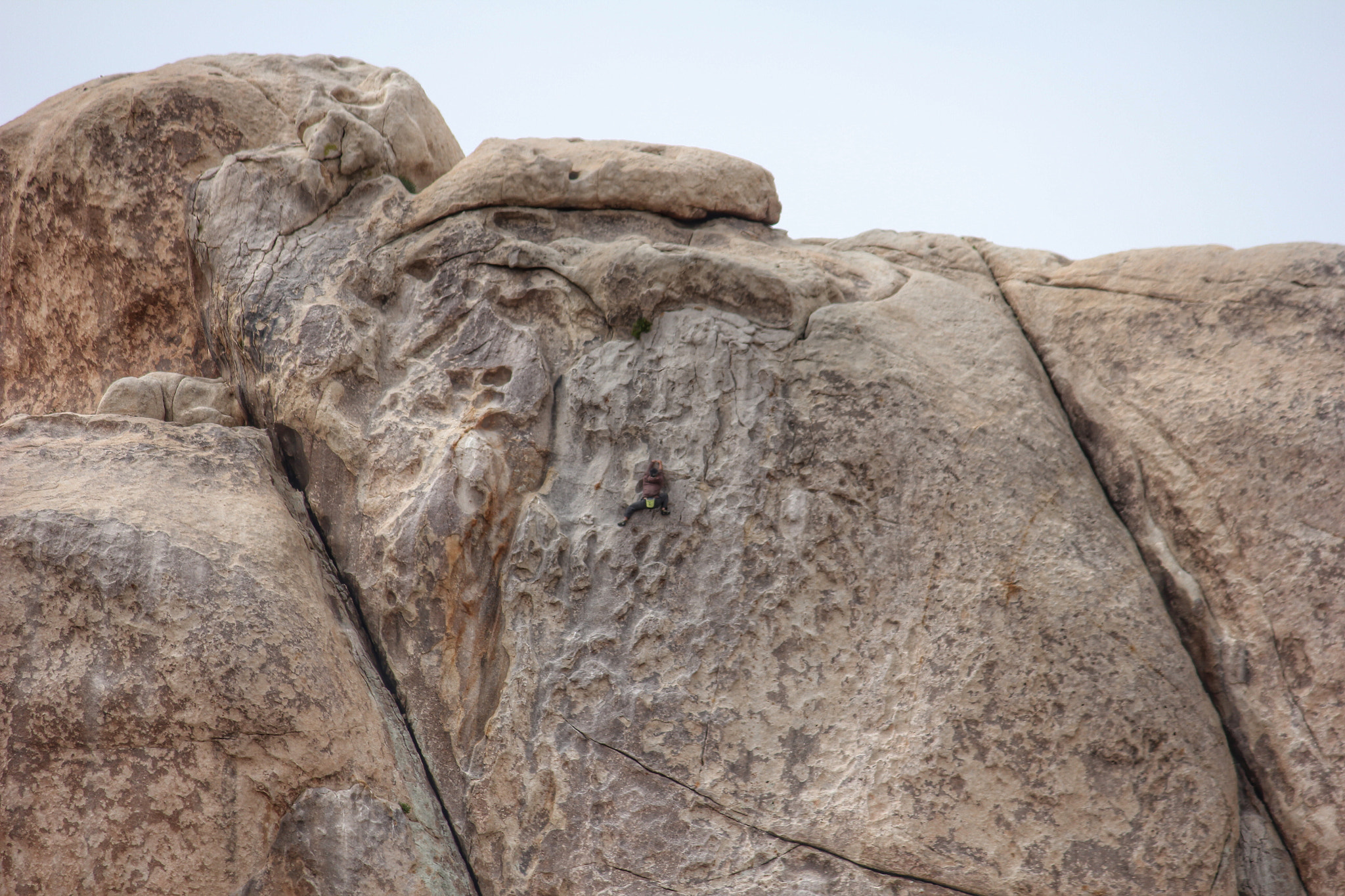 Canon EF-S 55-250mm F4-5.6 IS II sample photo. Joshua tree photography