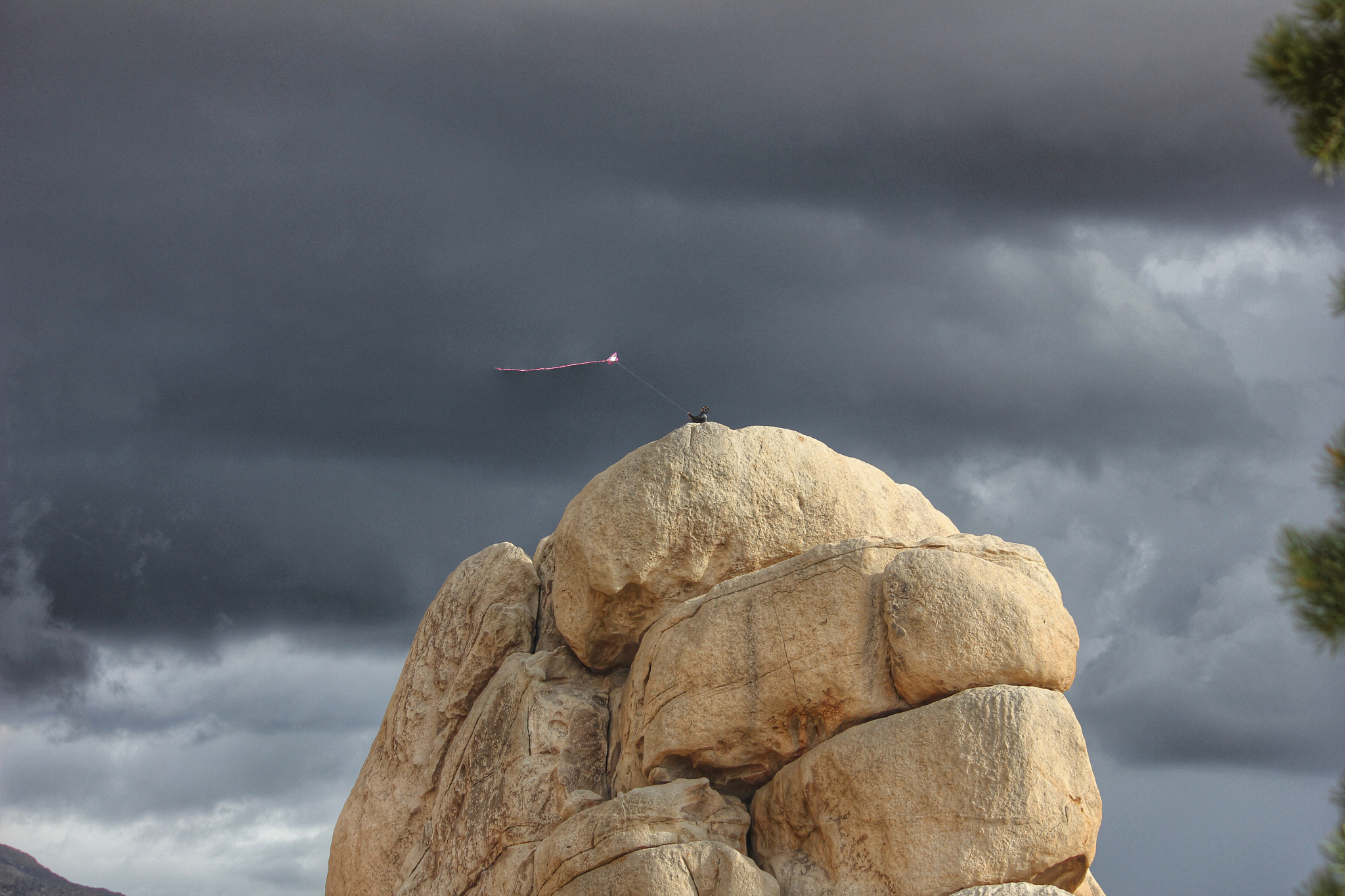Canon EF-S 55-250mm F4-5.6 IS II sample photo. Joshua tree photography