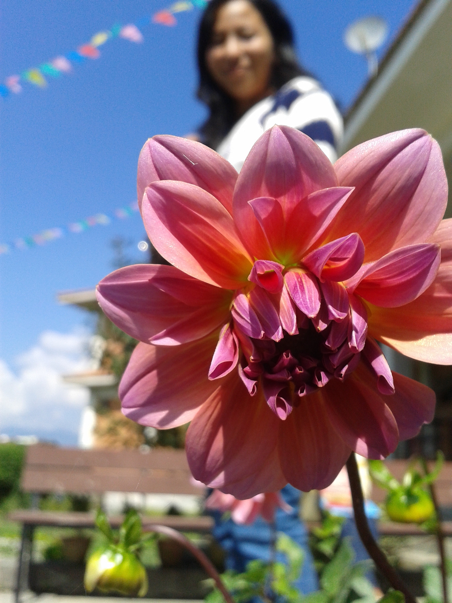 Samsung Galaxy S DUOS sample photo. 20131021_130556.jpg photography