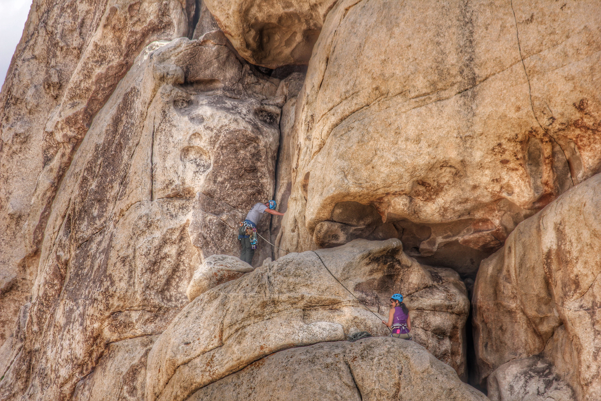 Canon EF-S 55-250mm F4-5.6 IS II sample photo. Joshua tree photography