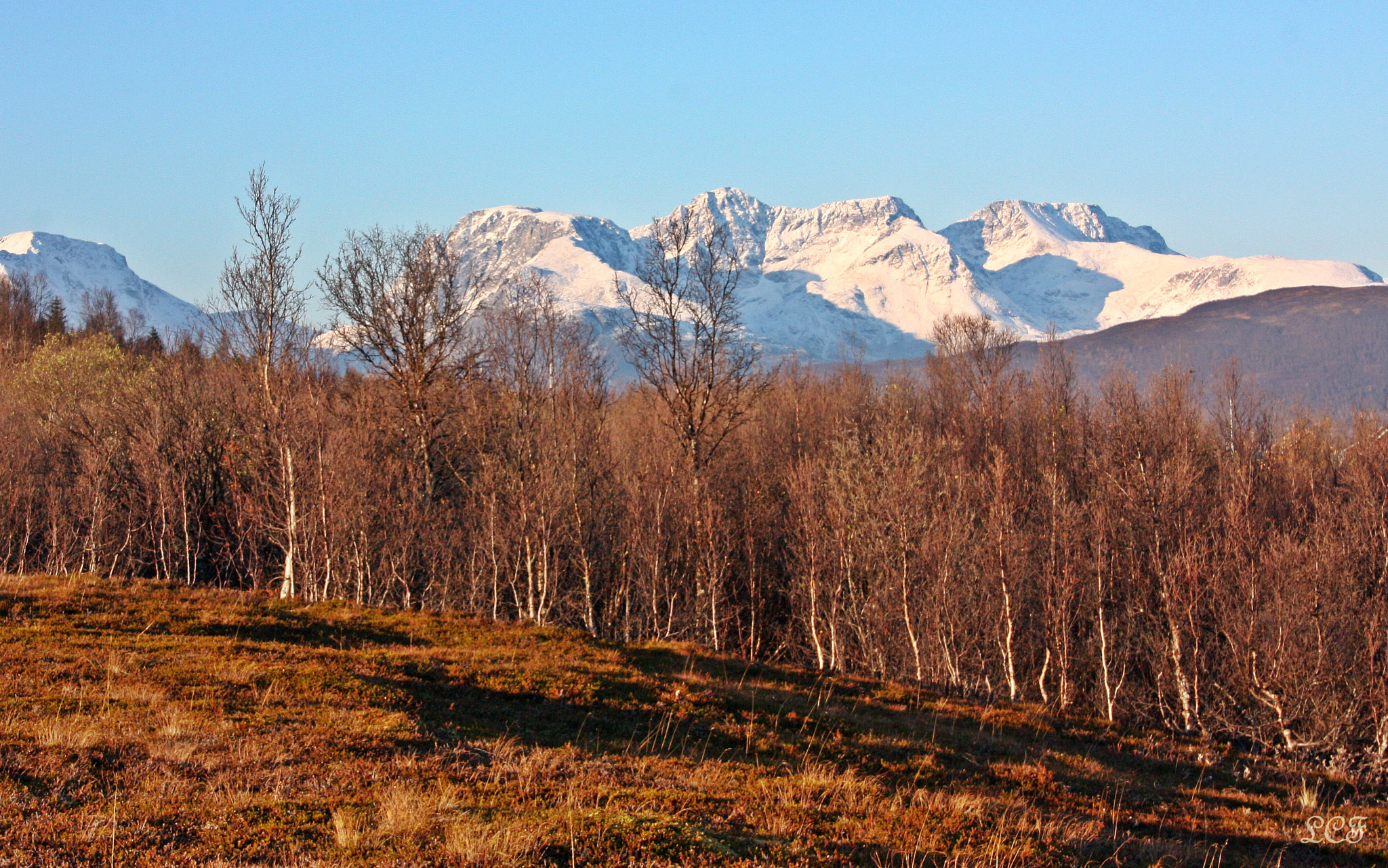 Canon EOS 450D (EOS Rebel XSi / EOS Kiss X2) sample photo. The winter is coming...  photography