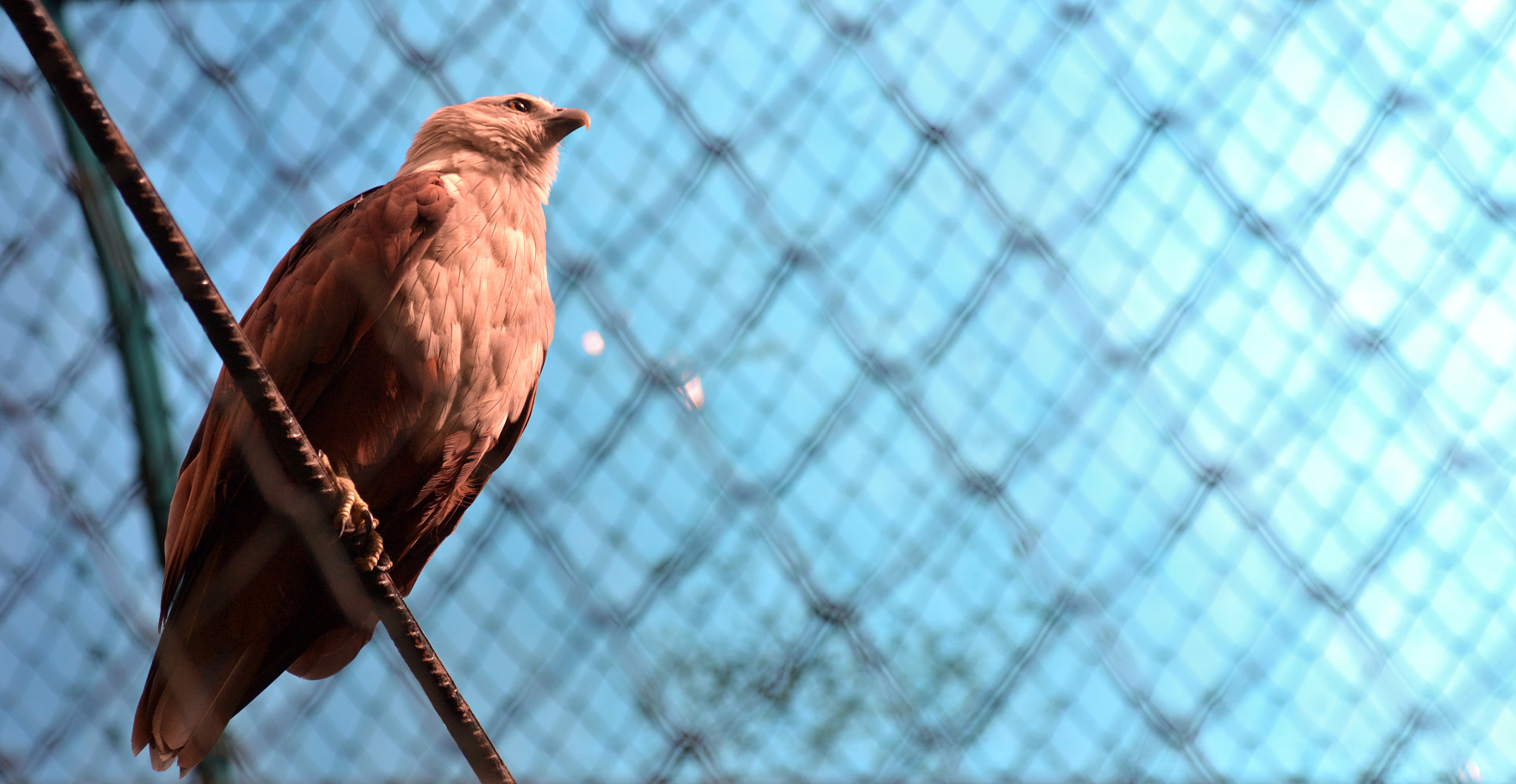 Nikon D3100 sample photo. Majestic photography