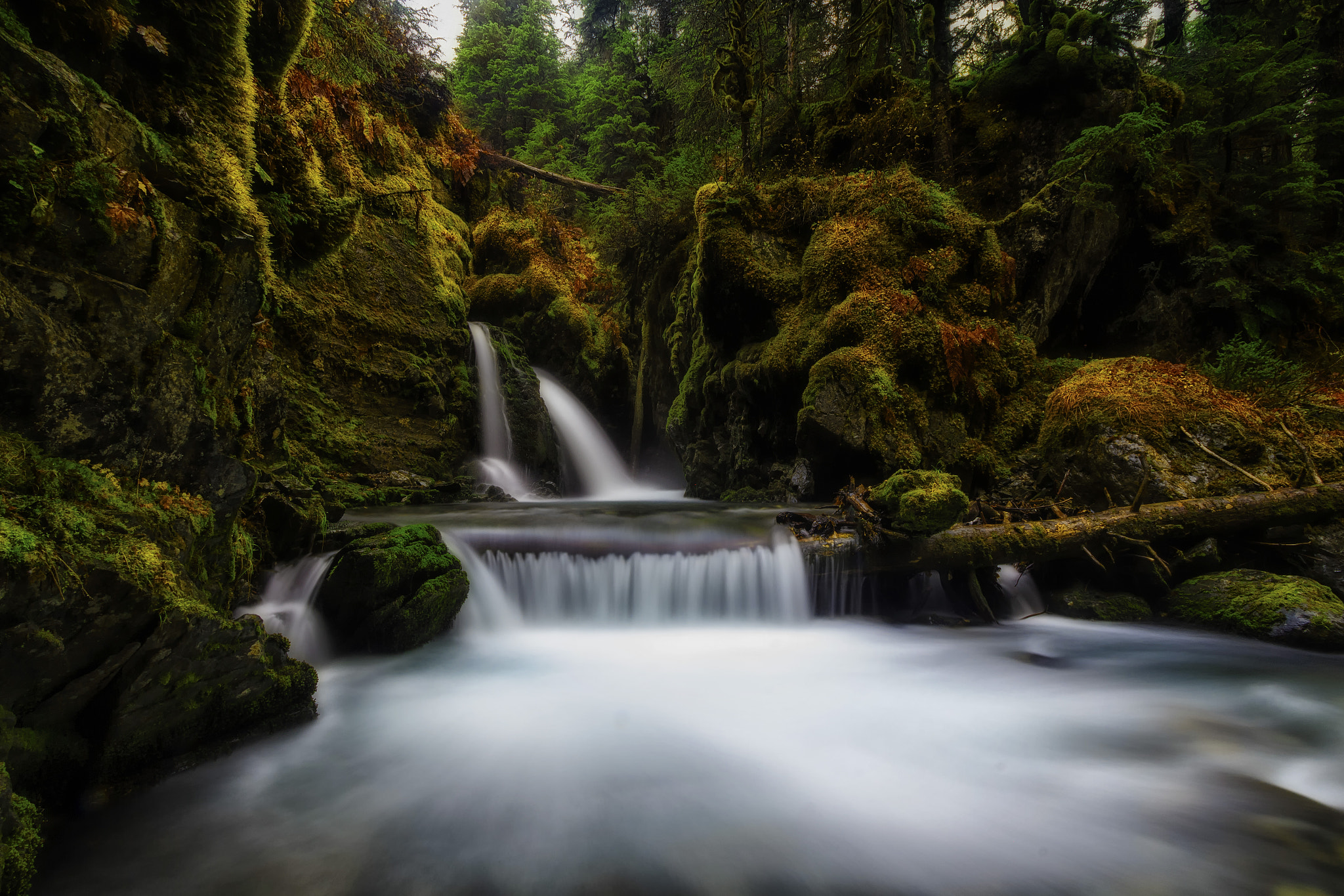 Sigma 10-20mm F3.5 EX DC HSM sample photo. Girdwood photography