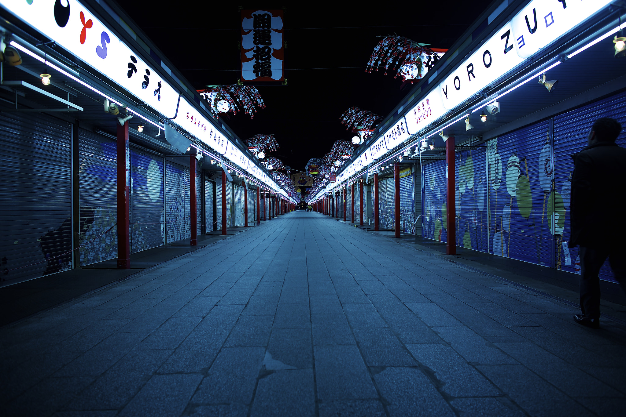 Canon EOS 6D + Canon EF 24mm f/1.4L sample photo. Asakusa path a photography