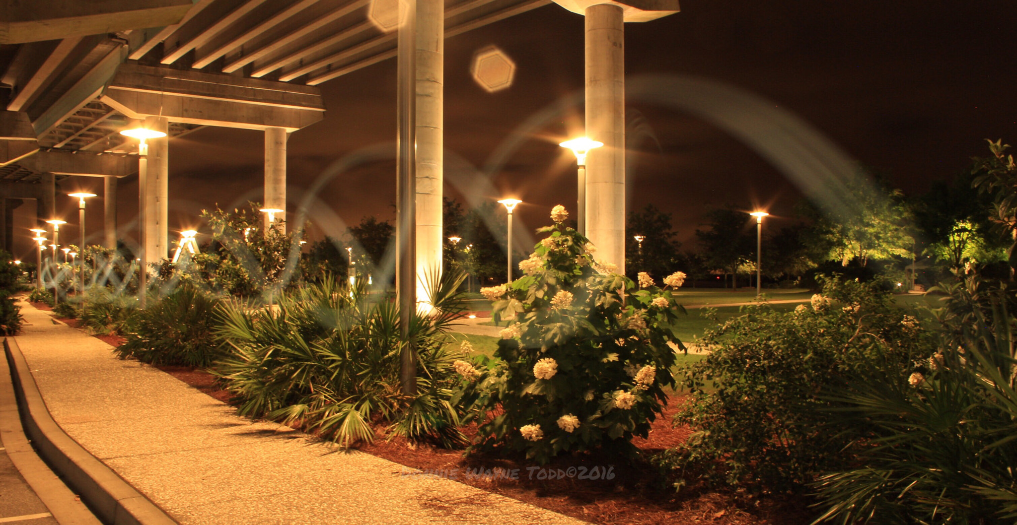 Canon EF-S 18-55mm F3.5-5.6 IS II sample photo. Painting with light under the bridge. photography