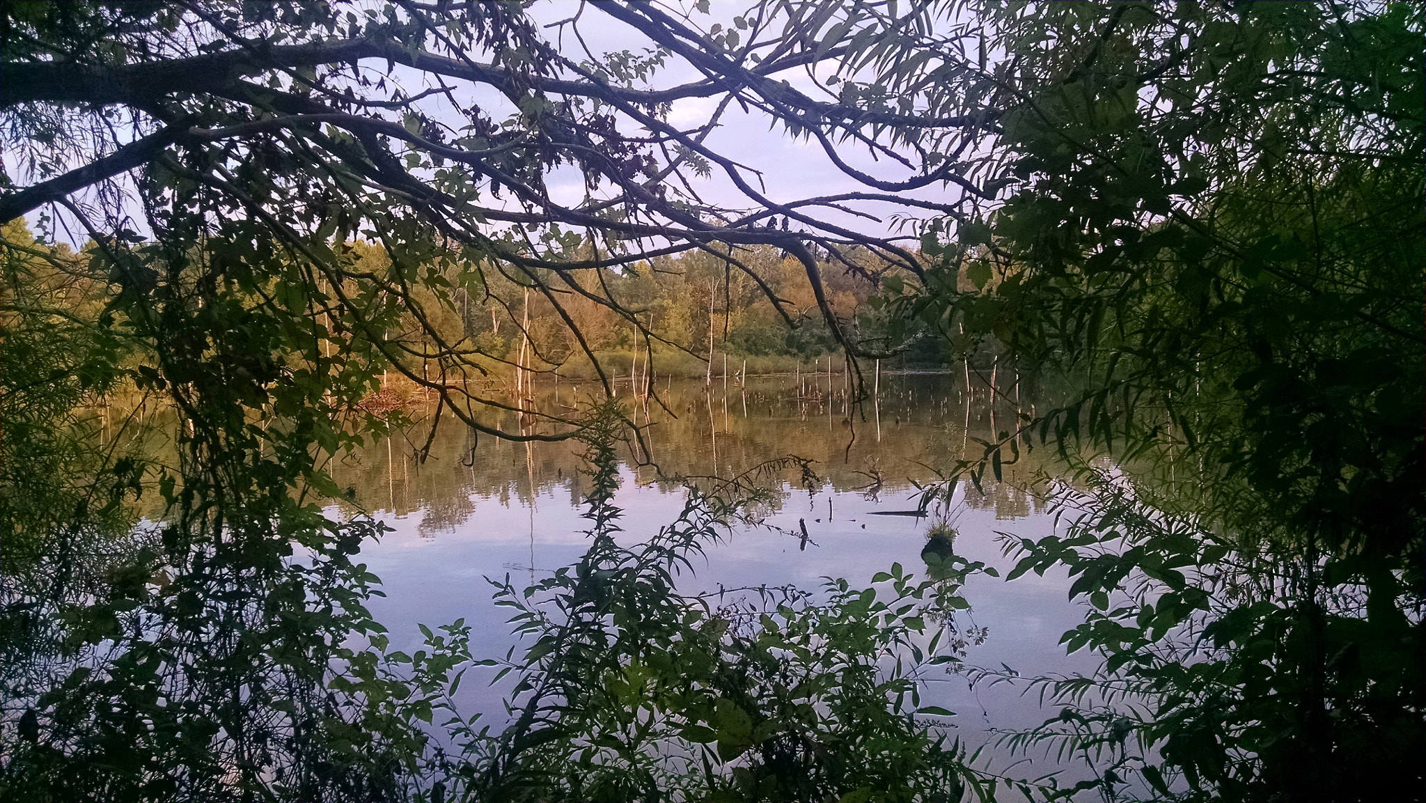 Motorola Droid Mini sample photo. Looking into from afar photography