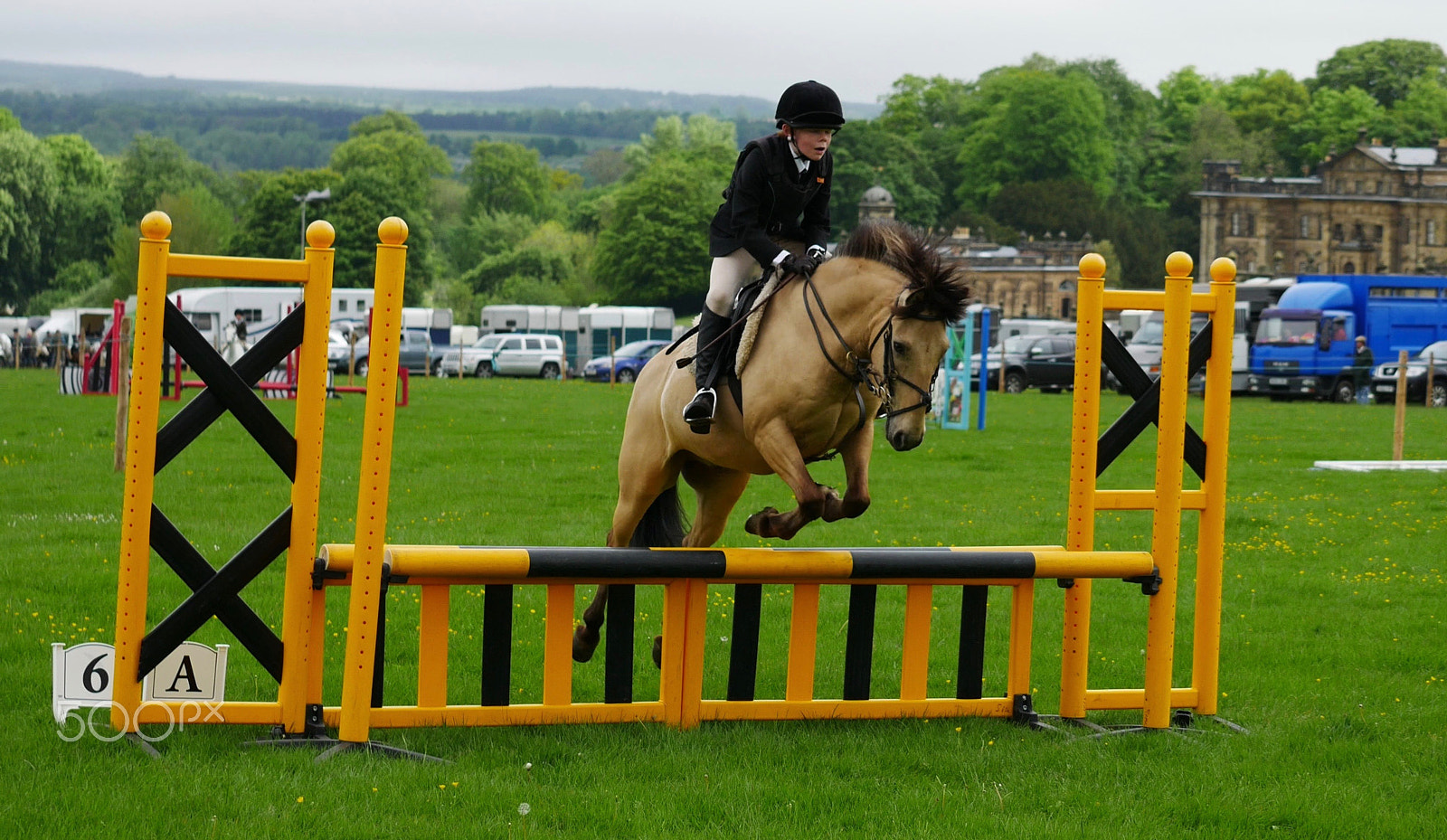 Panasonic Lumix G X Vario 35-100mm F2.8 OIS sample photo. Duncombe park country fair photography