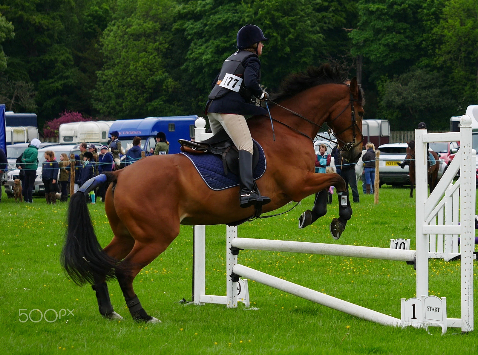 Panasonic Lumix G X Vario 35-100mm F2.8 OIS sample photo. Duncombe park country fair photography