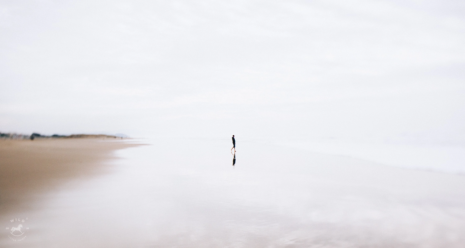 Canon TS-E 24.0mm f/3.5 L II sample photo. Hermit of the sea photography