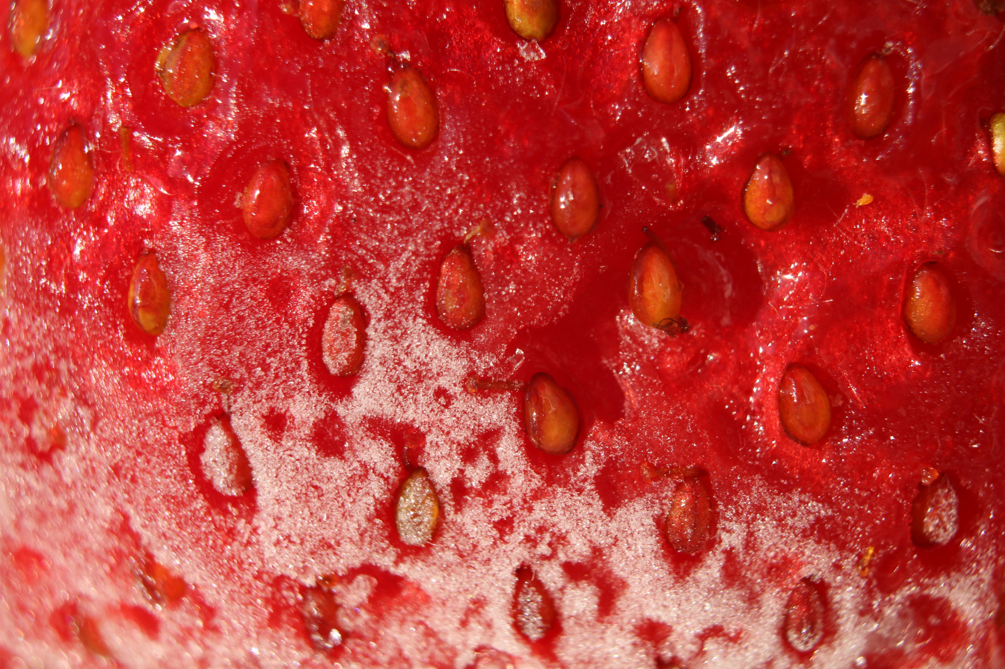 Canon EOS 760D (EOS Rebel T6s / EOS 8000D) sample photo. Frozen strawberry on a hot day photography