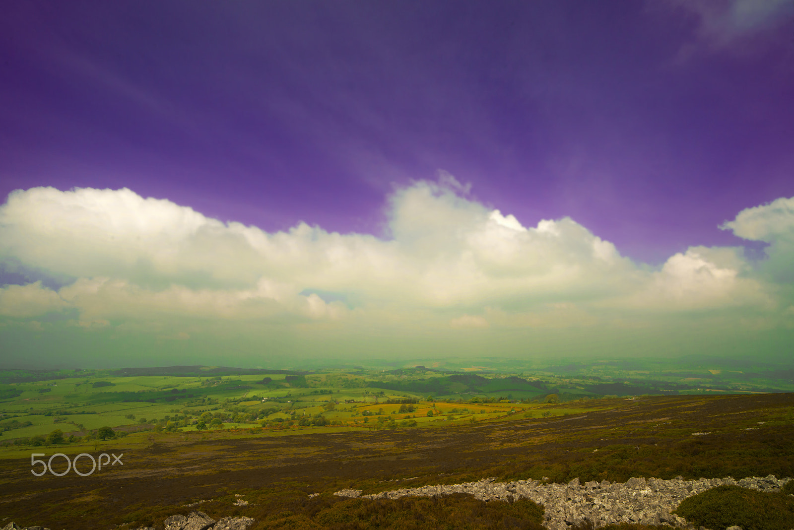 Nikon D600 sample photo. Stiper view photography