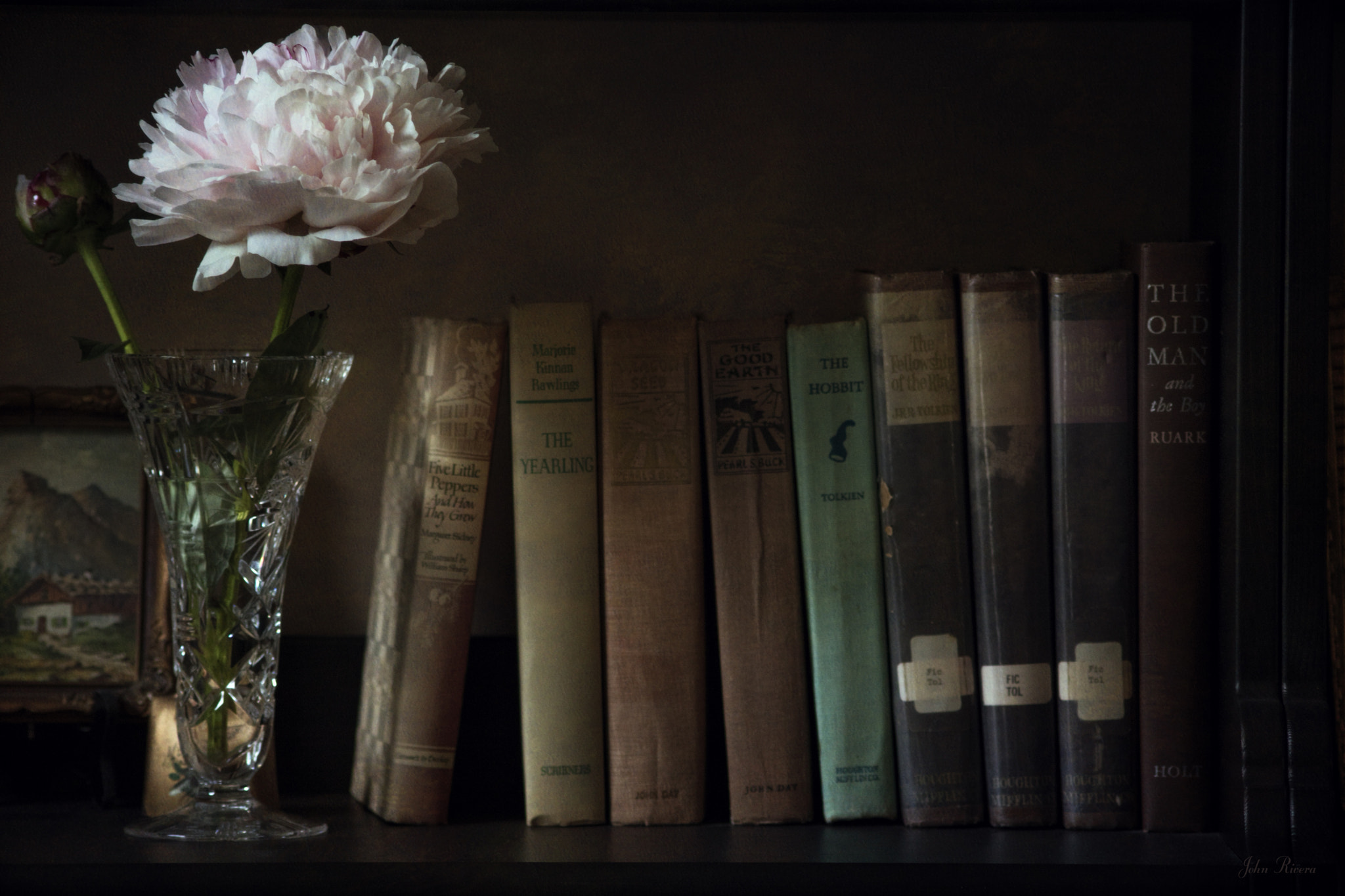 Canon EOS 760D (EOS Rebel T6s / EOS 8000D) sample photo. The book shelf photography