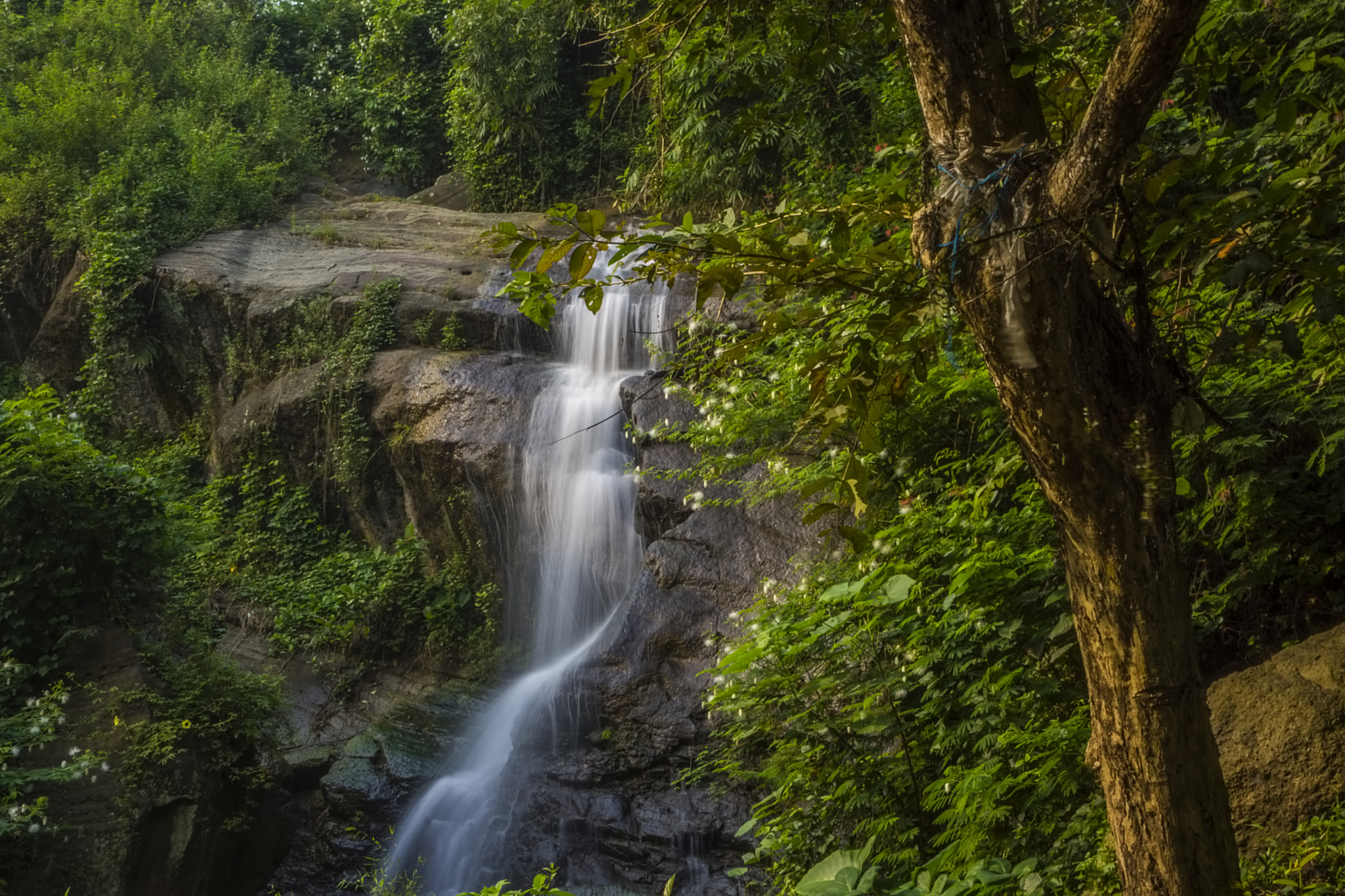 Sony E 16-50mm F3.5-5.6 PZ OSS sample photo. Bedil waterfall photography