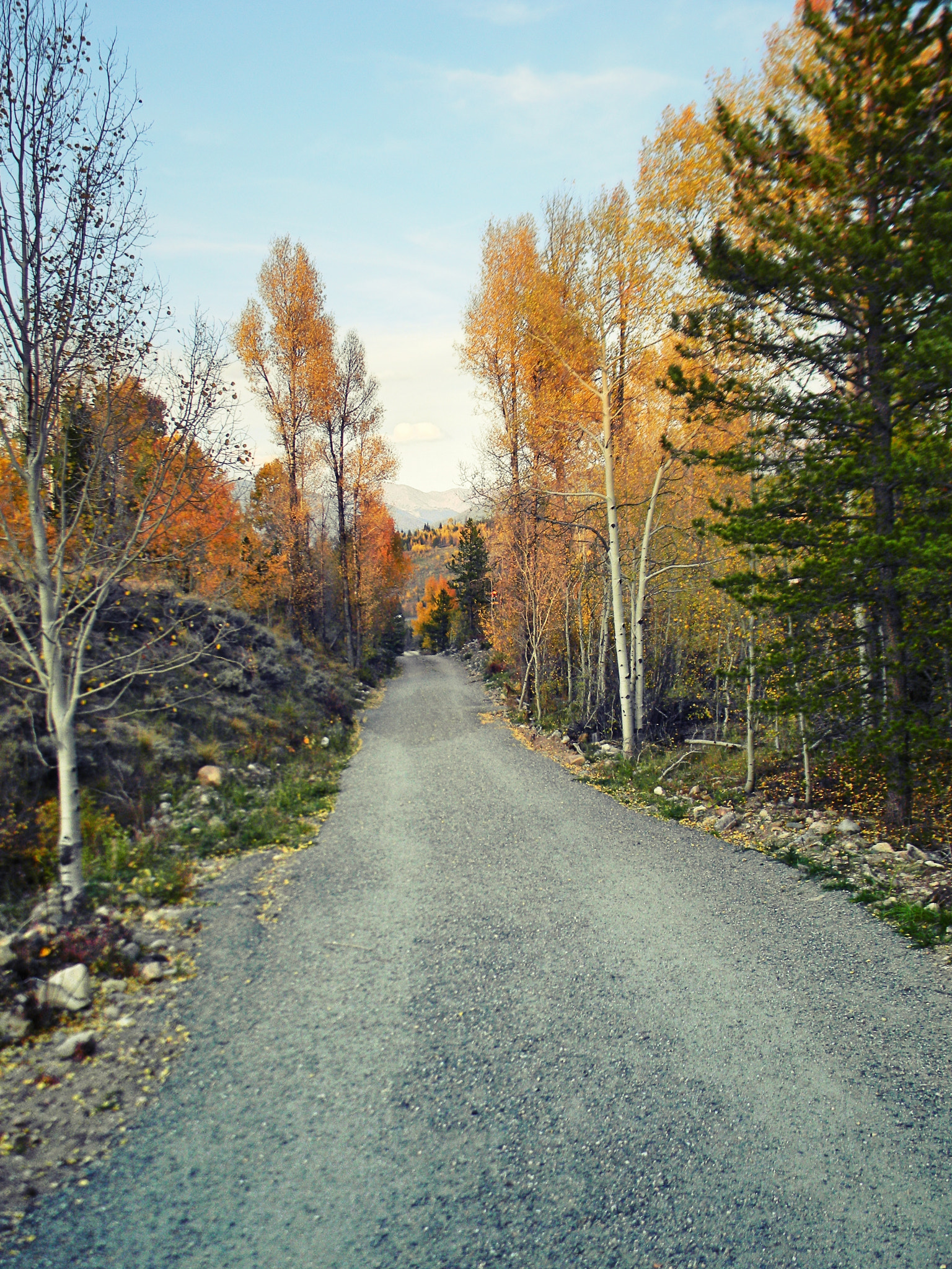 Nikon COOLPIX L105 sample photo. A mountain road.jpg photography