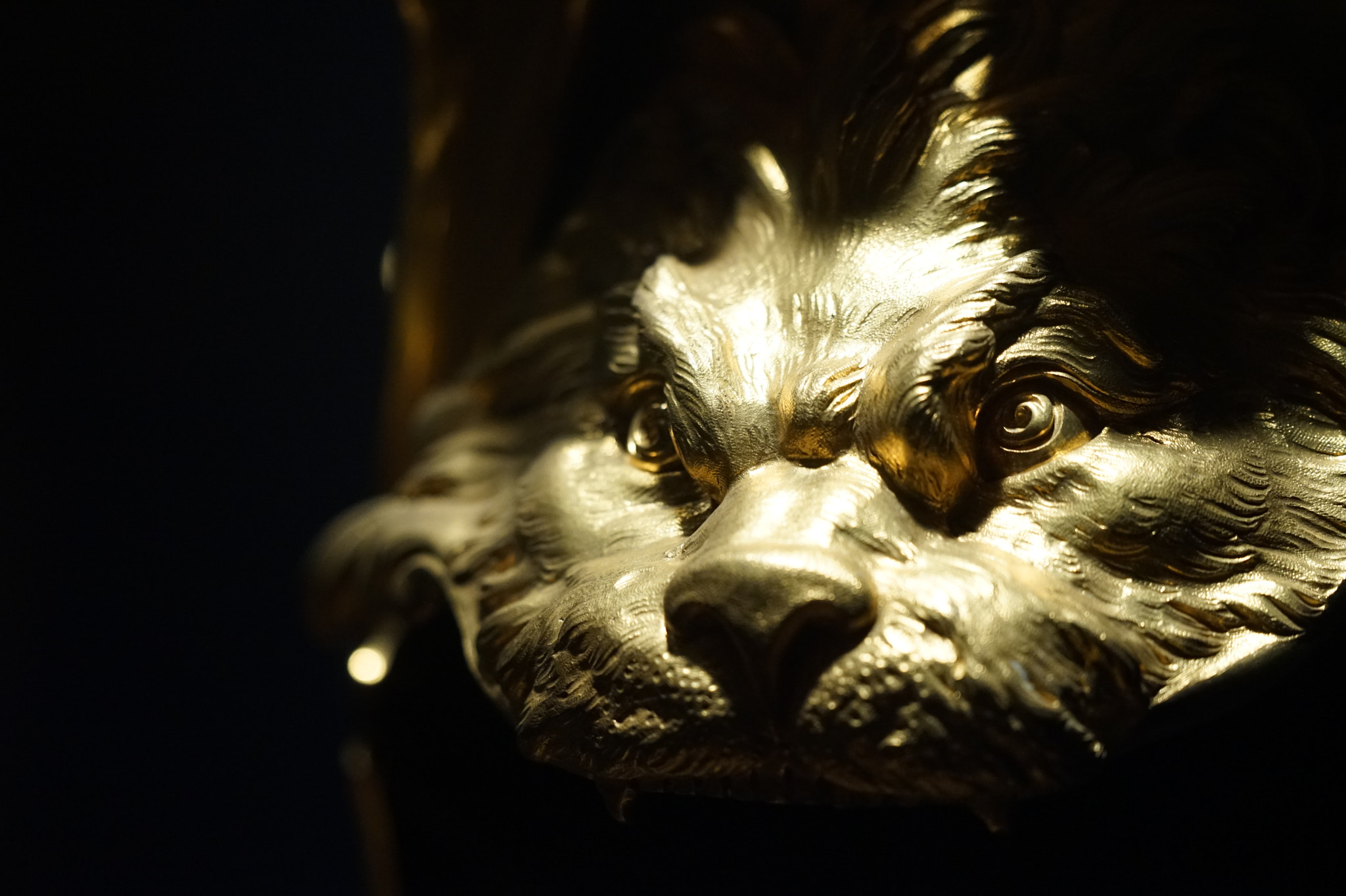 Sony FE 70-300mm F4.5-5.6 G OSS sample photo. Blick photography