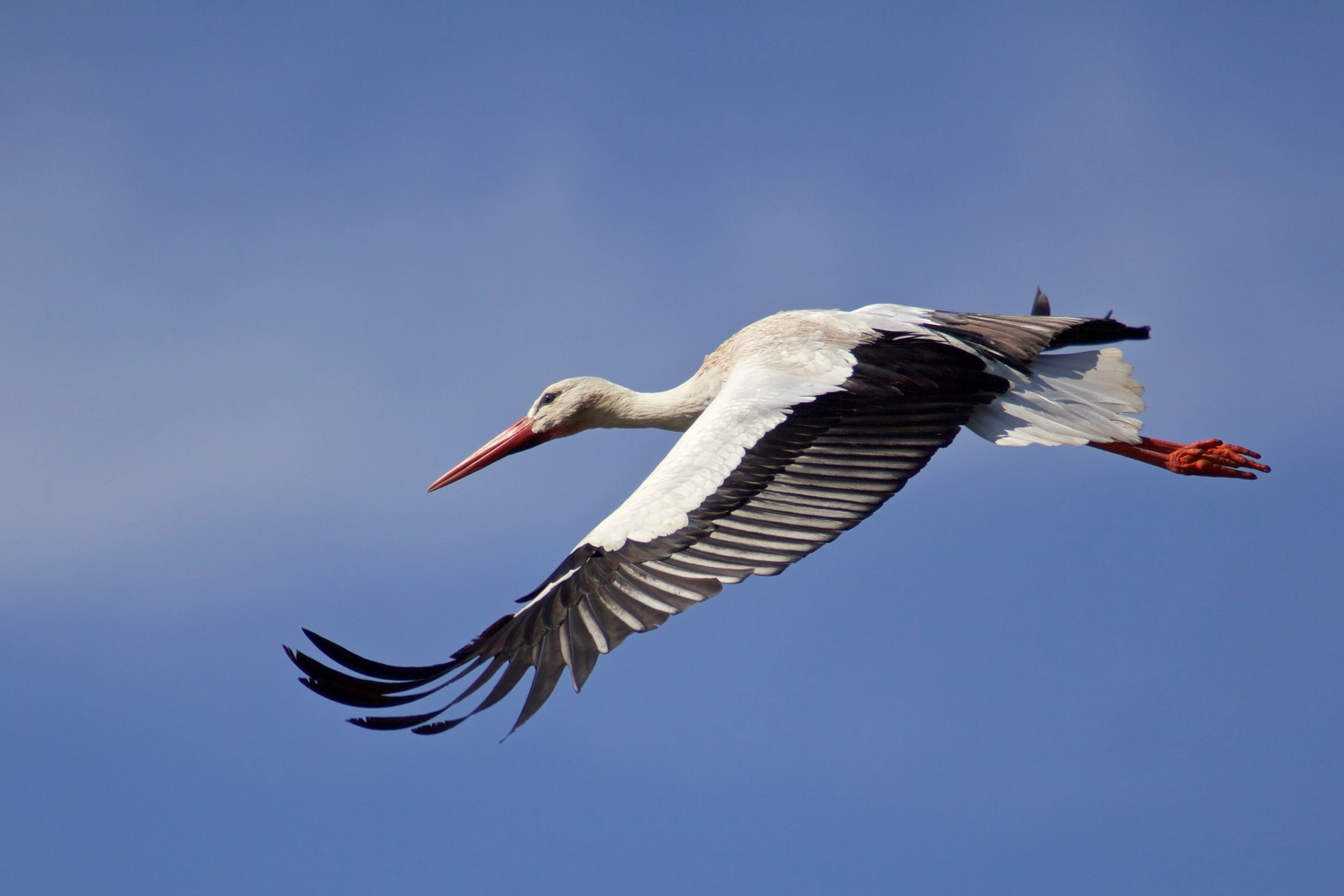 Canon EF 70-200mm F2.8L USM sample photo