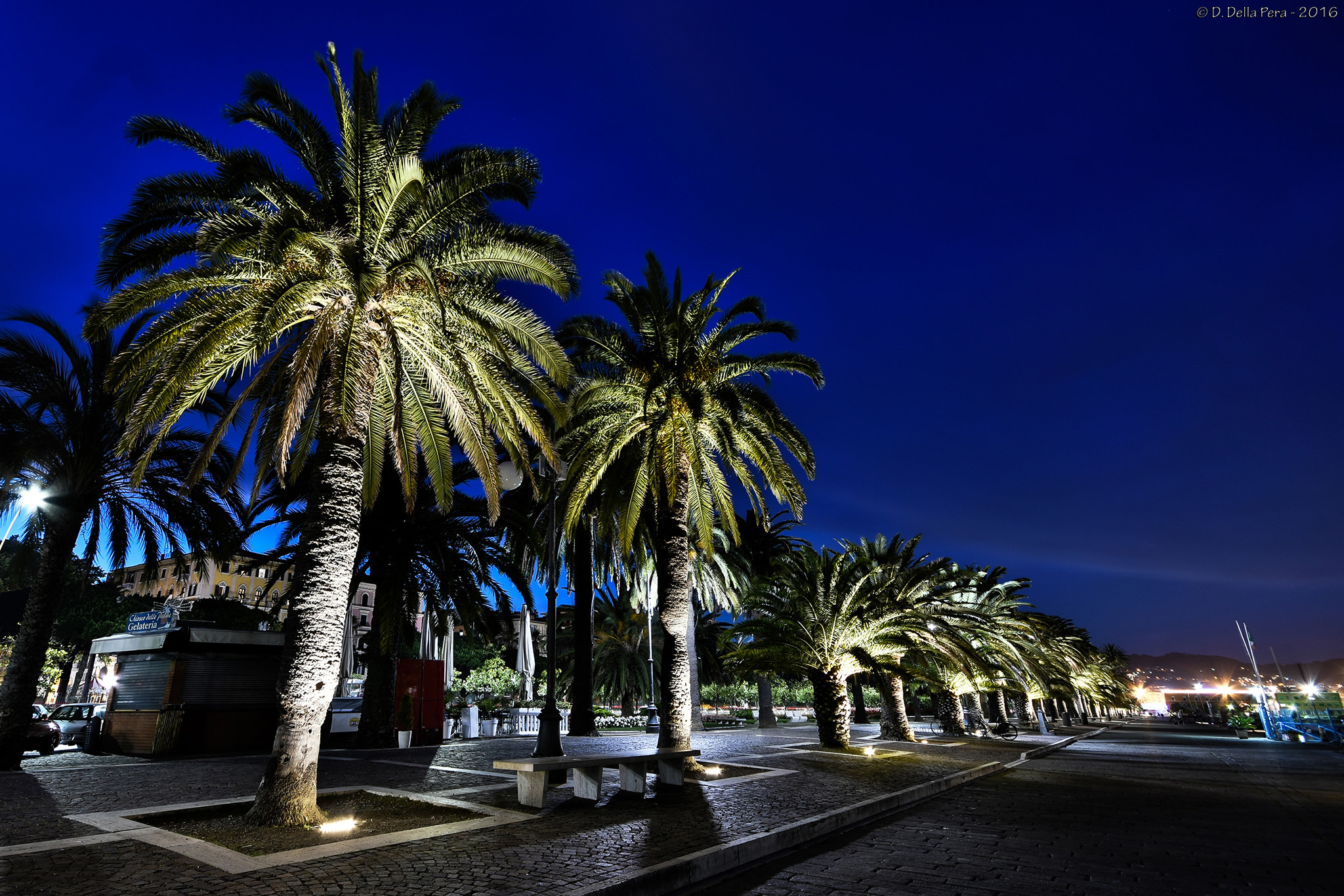 Sigma 10-20mm F4-5.6 EX DC HSM sample photo. Passeggiata morin palme fb photography