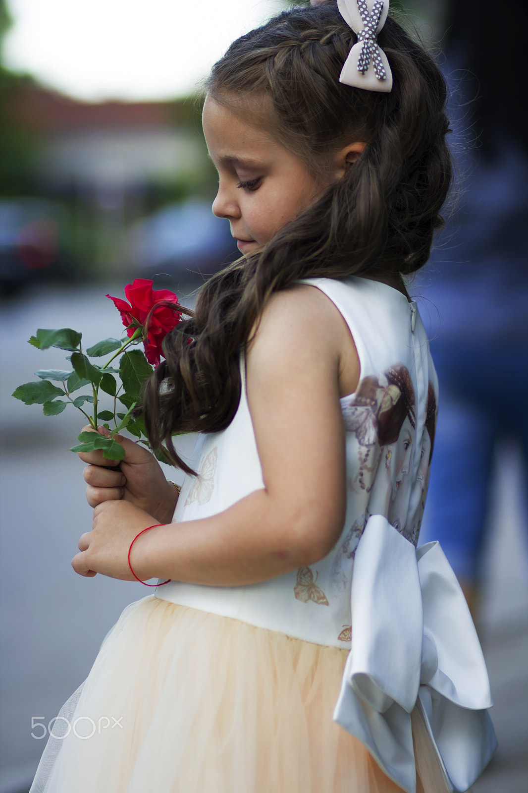Canon EF 85mm F1.8 USM sample photo. Beautiful as a rose photography