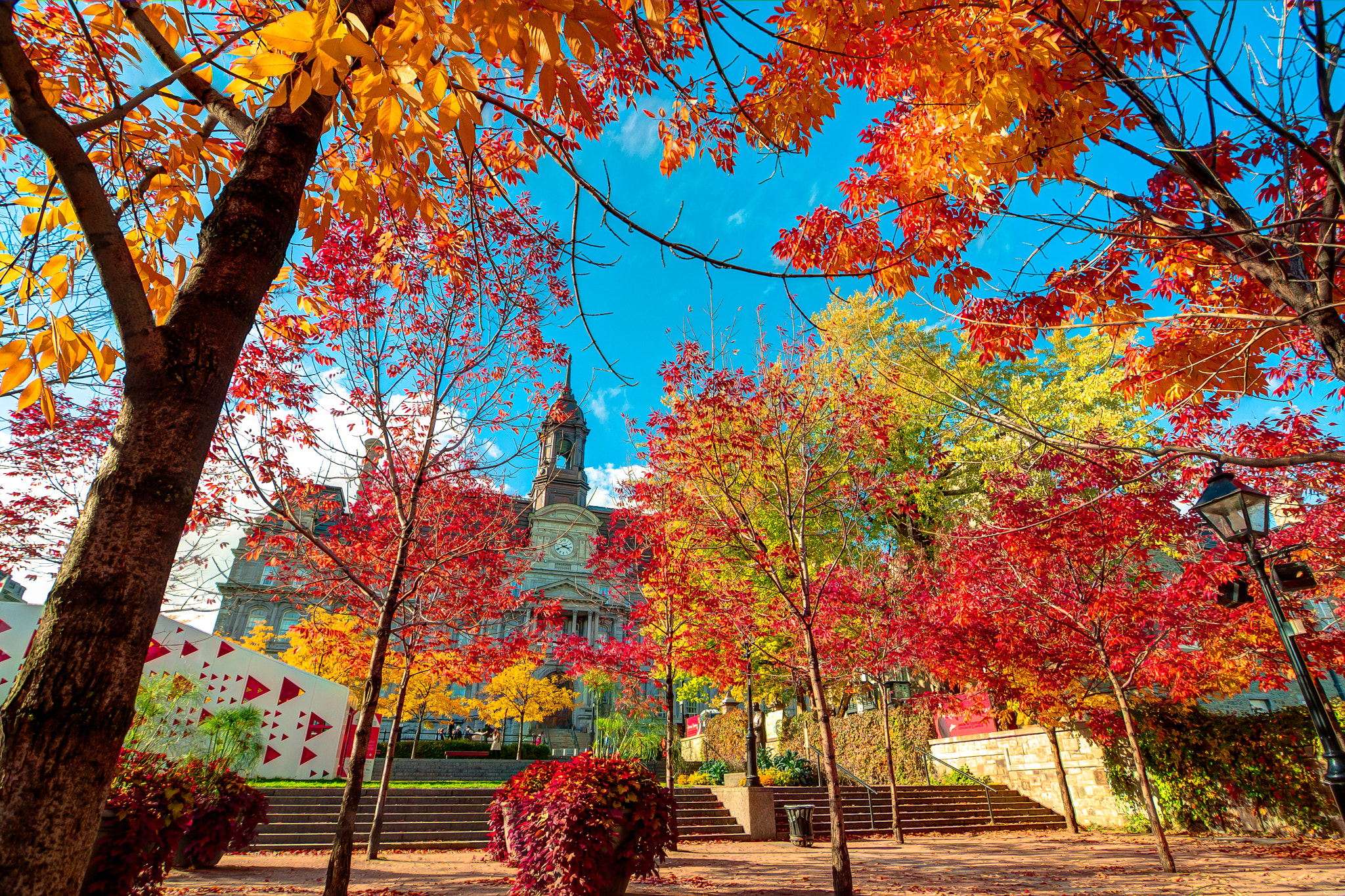 Fall Colors Montreal Quebec City Hall by Ben Lam - Photo 15624237 / 500px