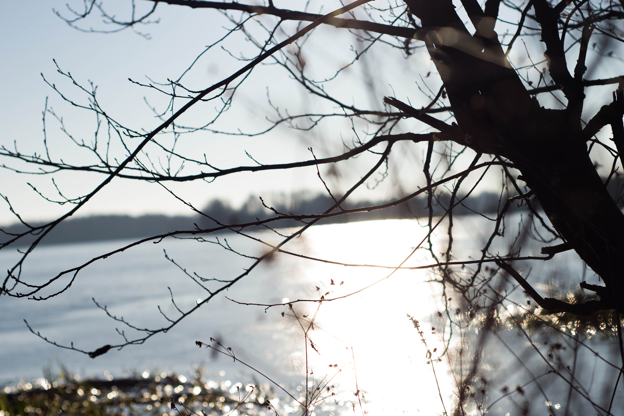 Nikon D3100 + AF Nikkor 50mm f/1.8 sample photo. Reflection on the lake photography