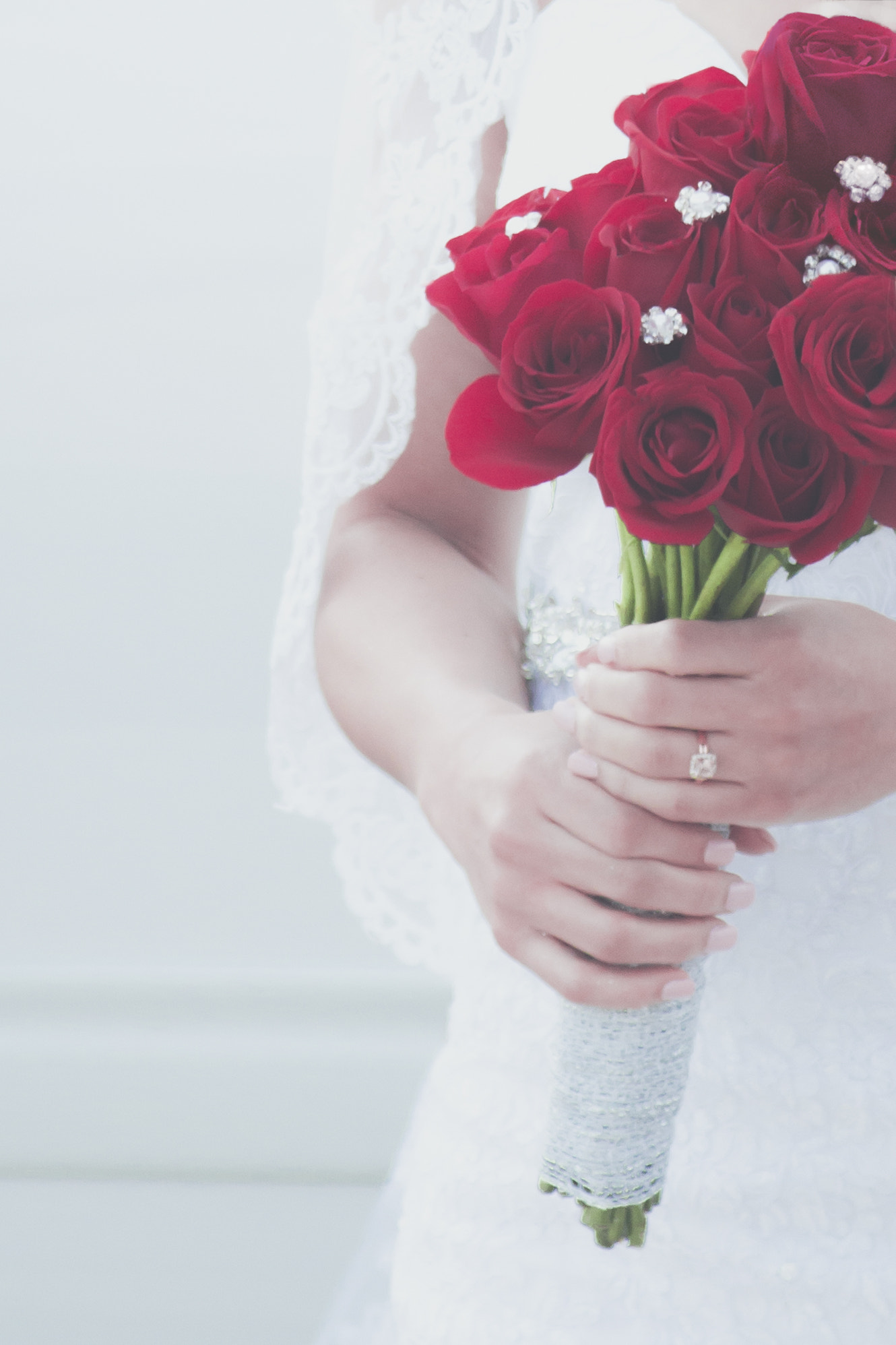 Canon EF 28-105mm f/3.5-4.5 USM sample photo. Red bush photography