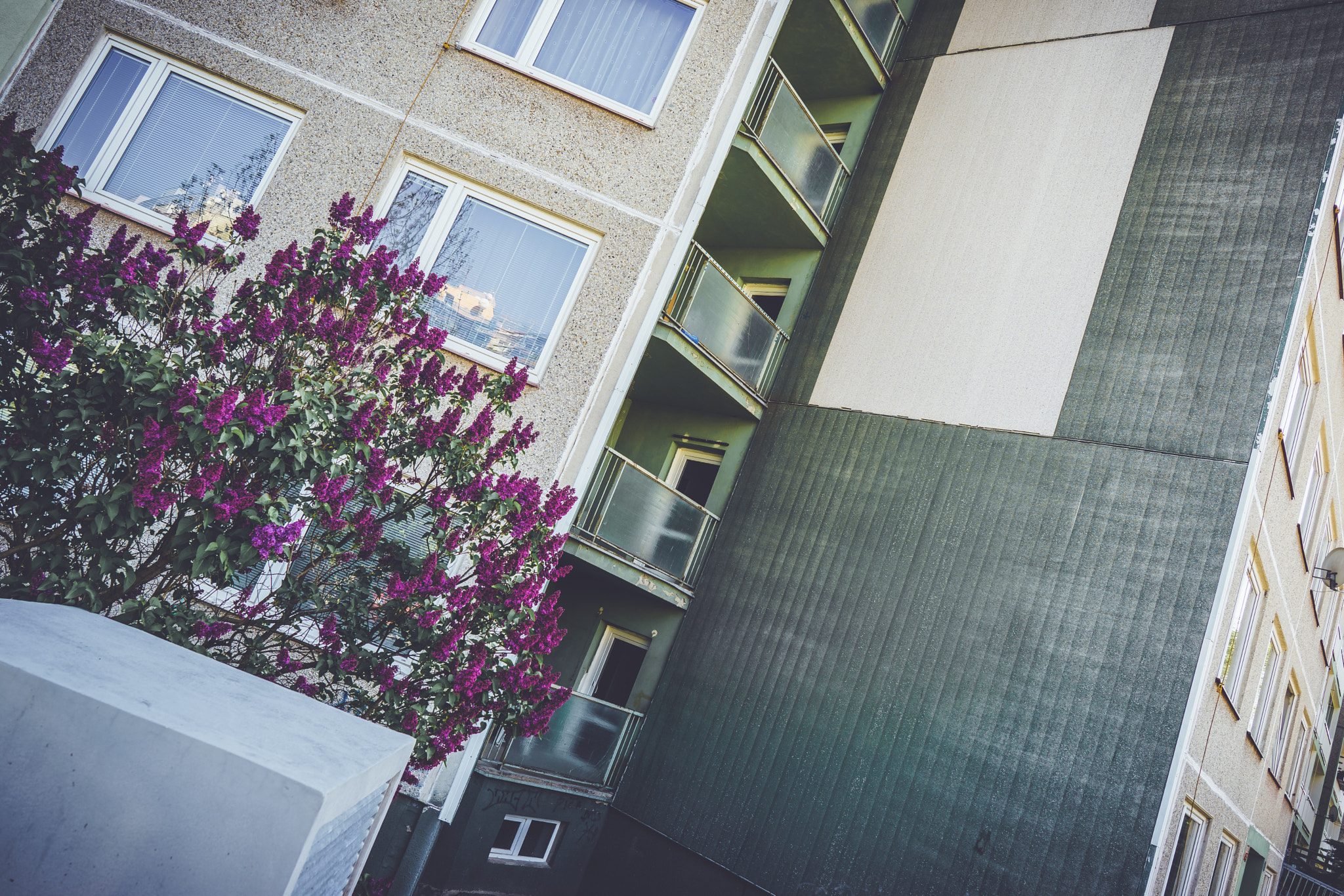 Sony a7 + ZEISS Batis 25mm F2 sample photo. Prefab and nature photography