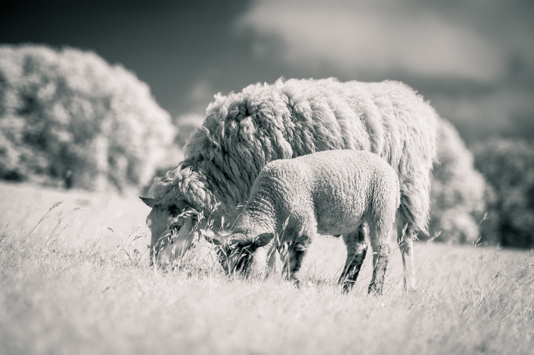 Nikon AF-S Nikkor 70-200mm F2.8G ED VR II sample photo. Mother and child photography