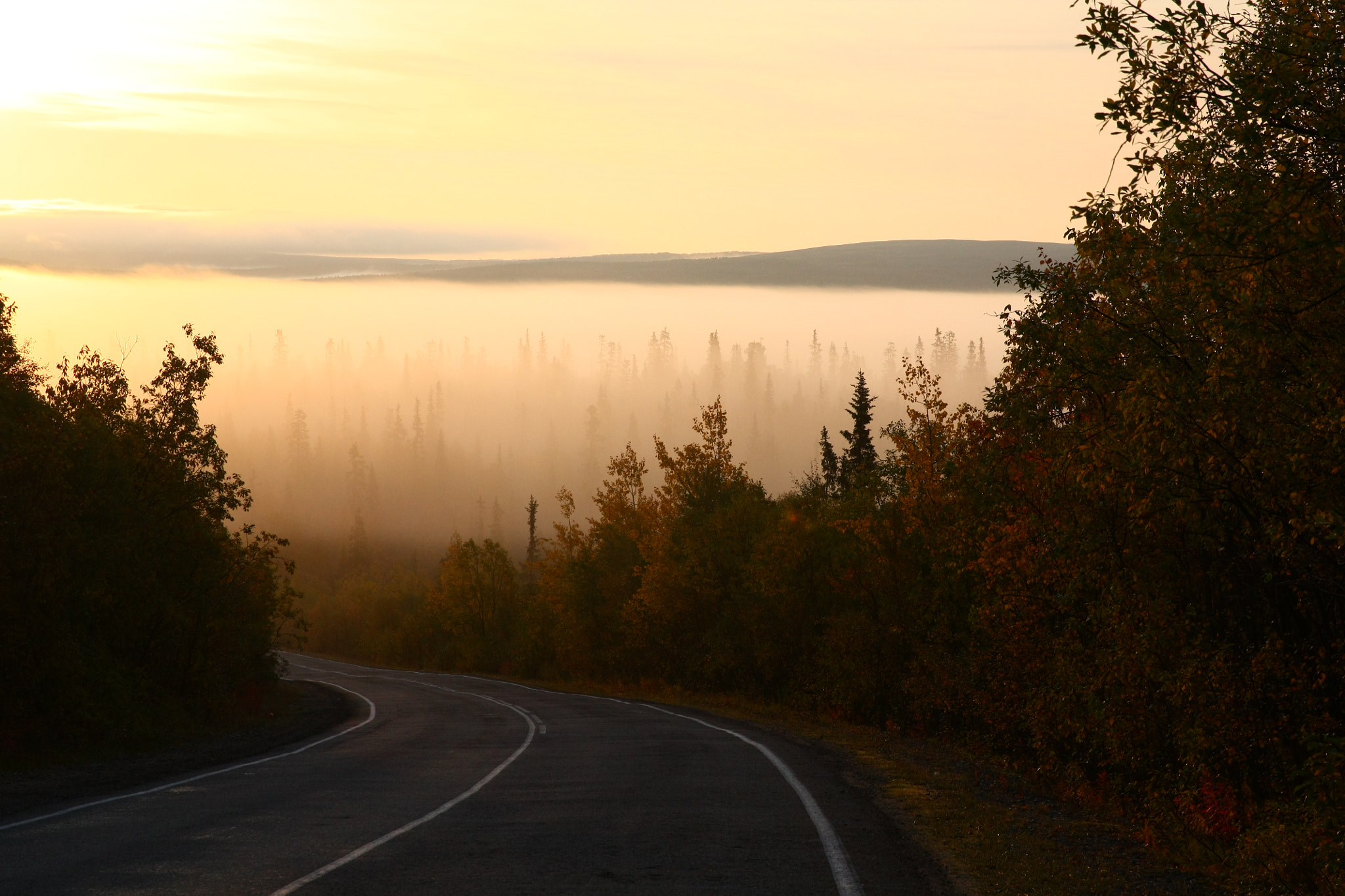 Canon EOS 450D (EOS Rebel XSi / EOS Kiss X2) sample photo. Morning mist photography