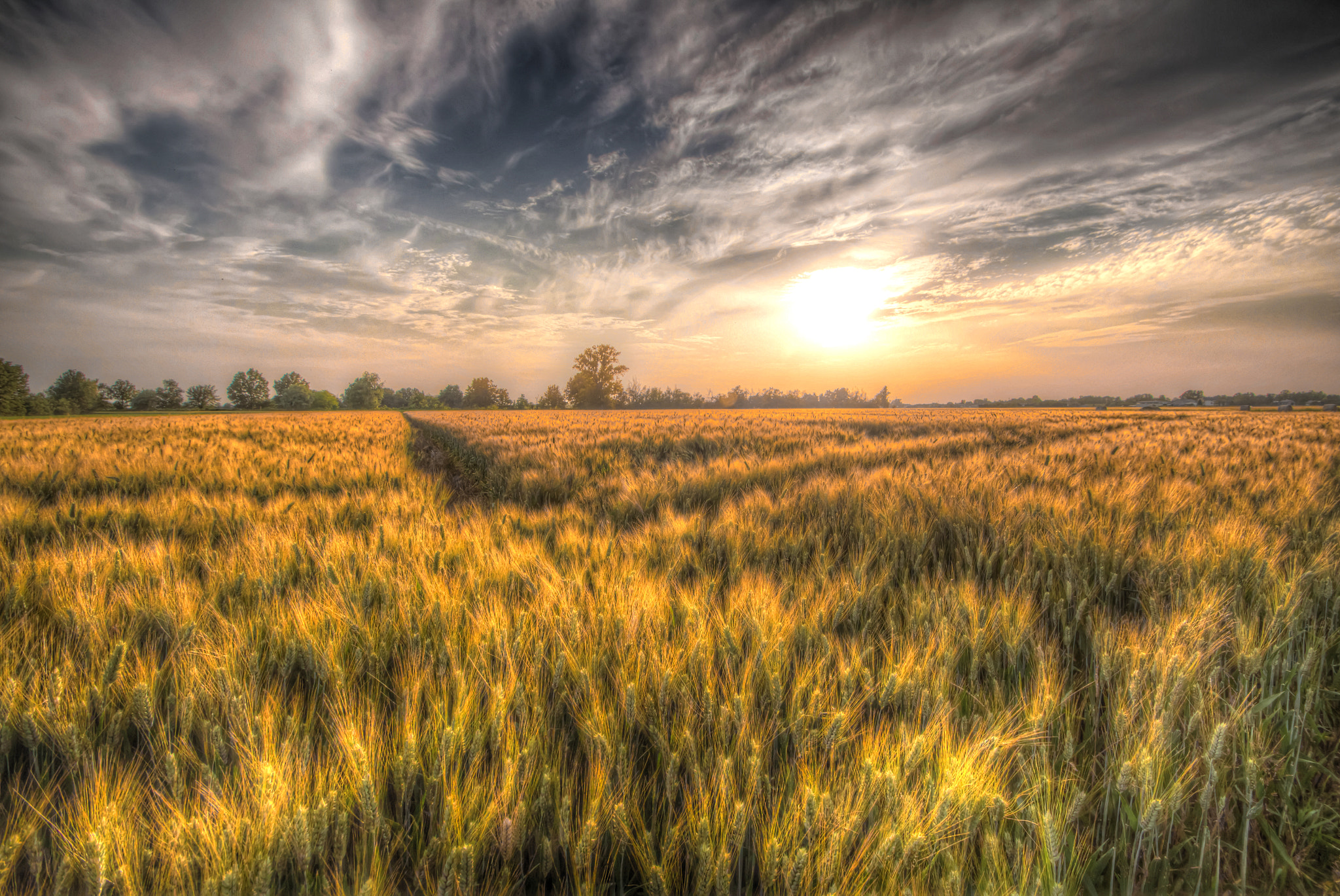 Sigma 10-20mm F3.5 EX DC HSM sample photo. Seafield photography