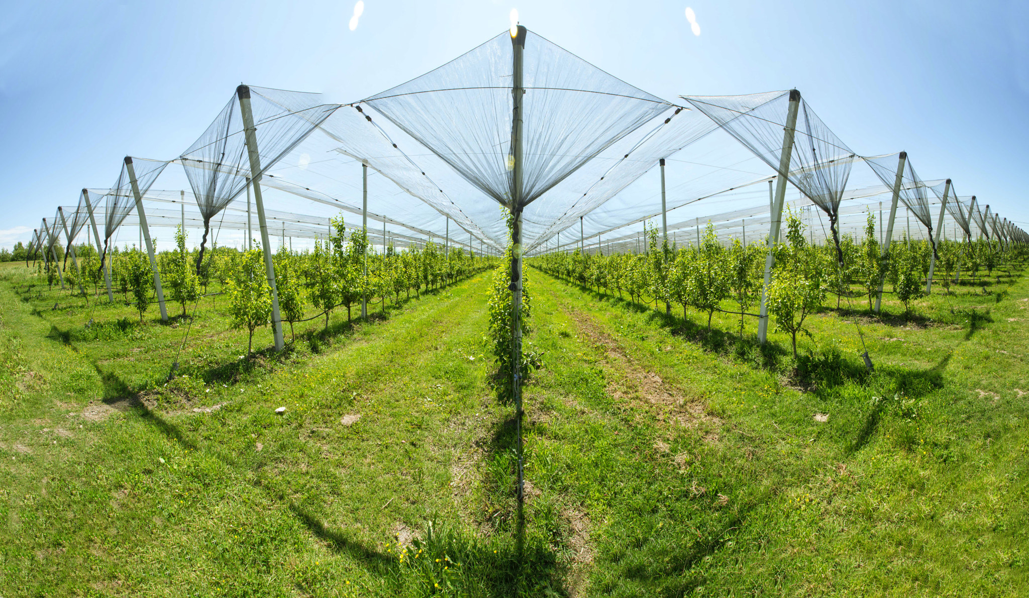 Sigma 10-20mm F3.5 EX DC HSM sample photo. Follow me photography