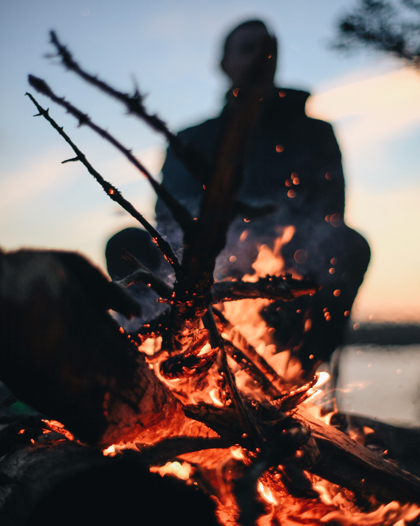 ZEISS Planar T* 50mm F1.4 sample photo. Campfire photography