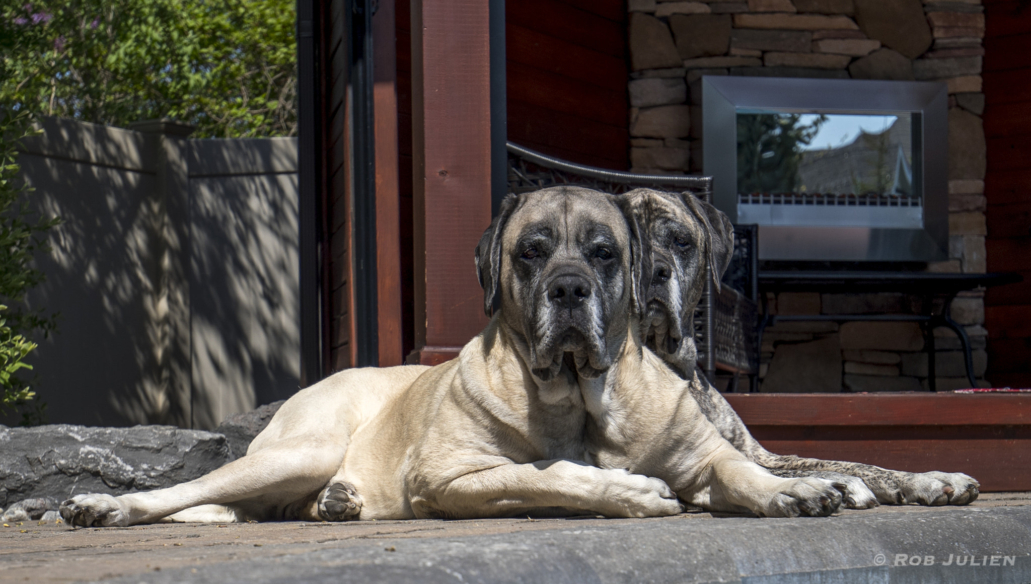 Canon EF 16-35mm F4L IS USM sample photo. A52i5076.jpg photography
