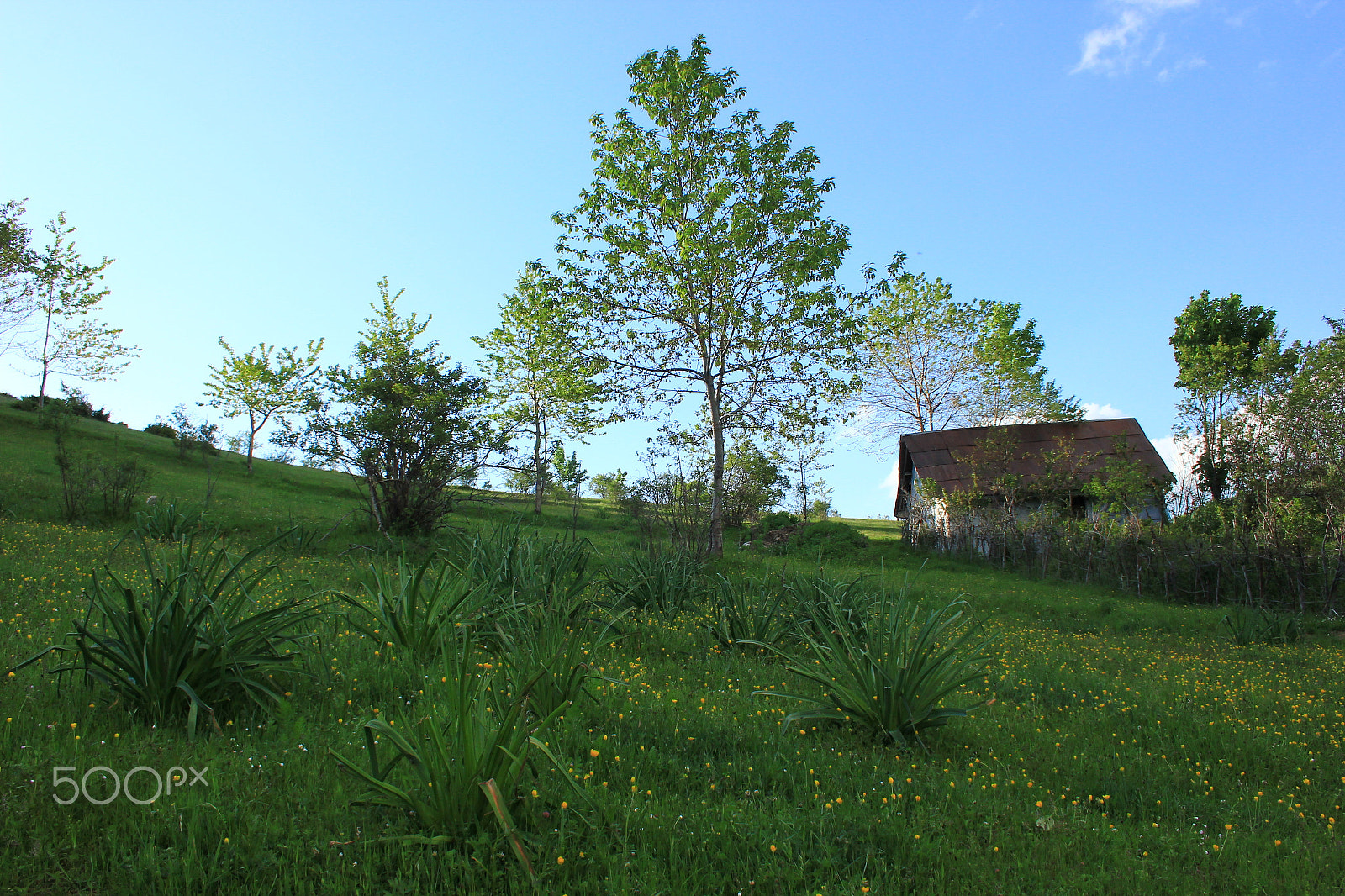 Canon EF-S 18-55mm F3.5-5.6 sample photo. Magical world photography