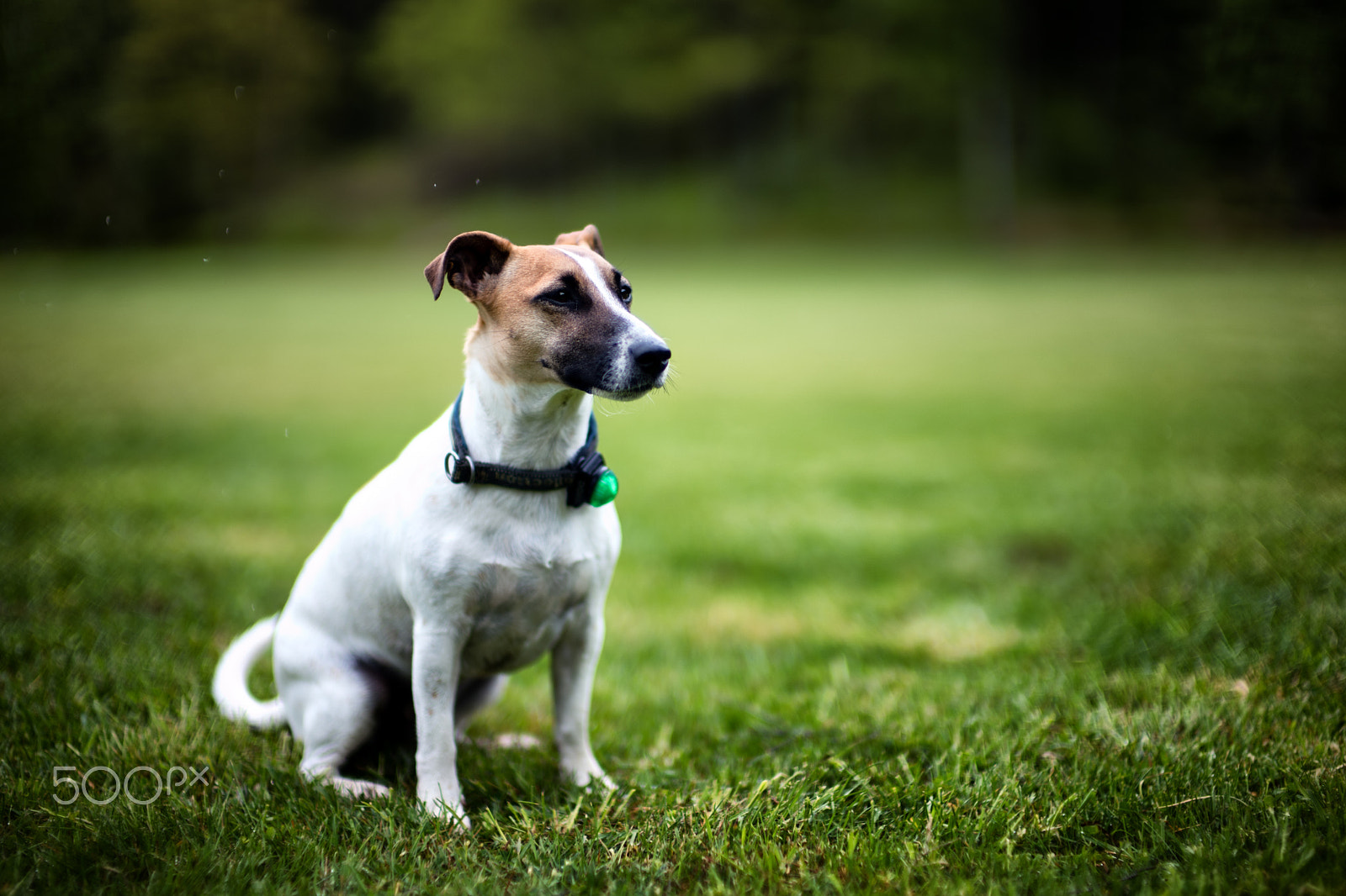 Leica Noctilux-M 50mm F0.95 ASPH sample photo. The perfect pose photography