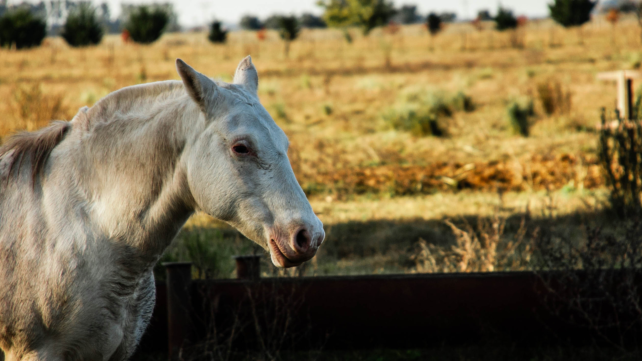 Nikon D40 sample photo. *** photography