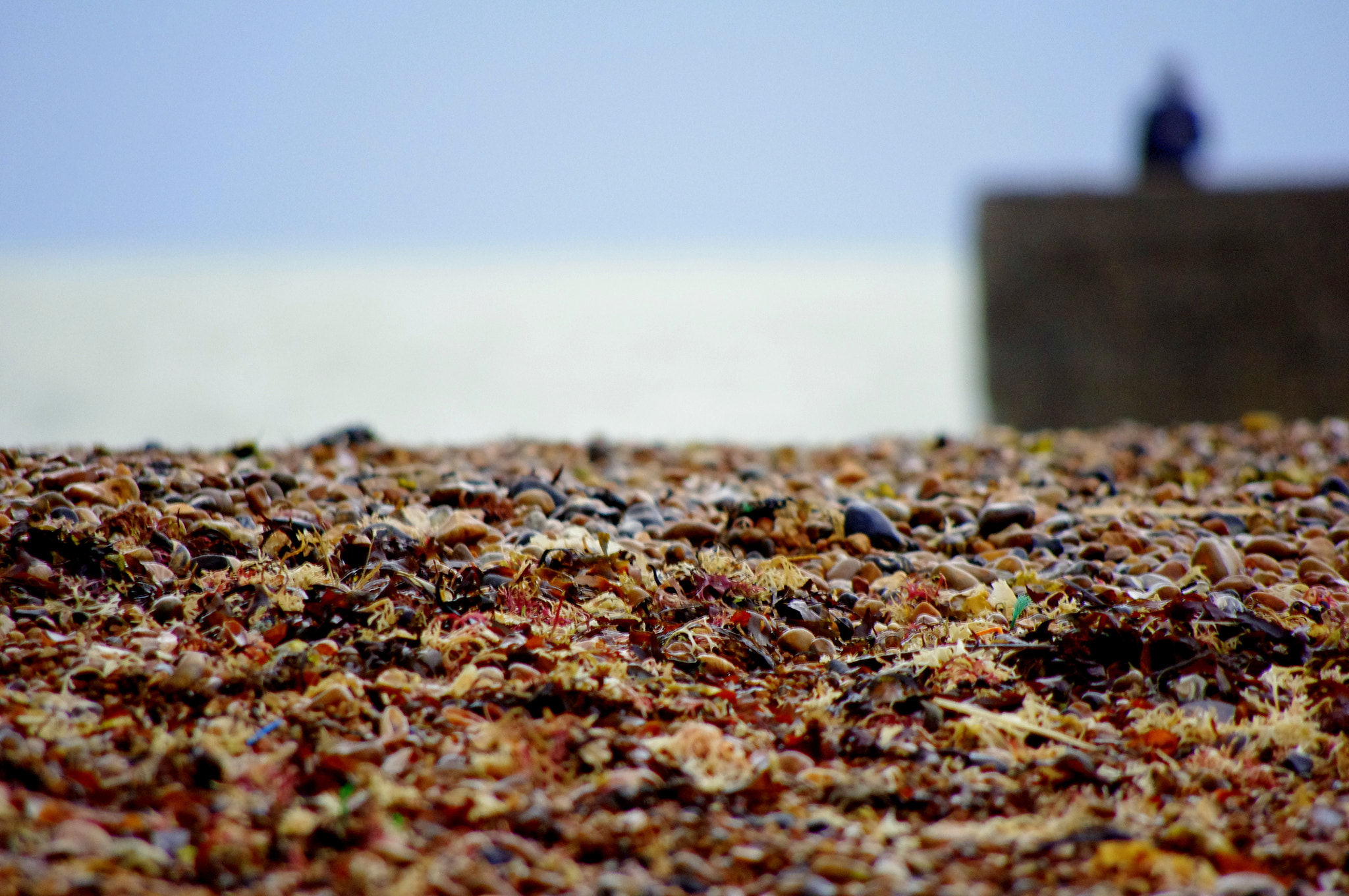 smc PENTAX-DA L 55-300mm F4-5.8 ED sample photo. Brighton beach photography