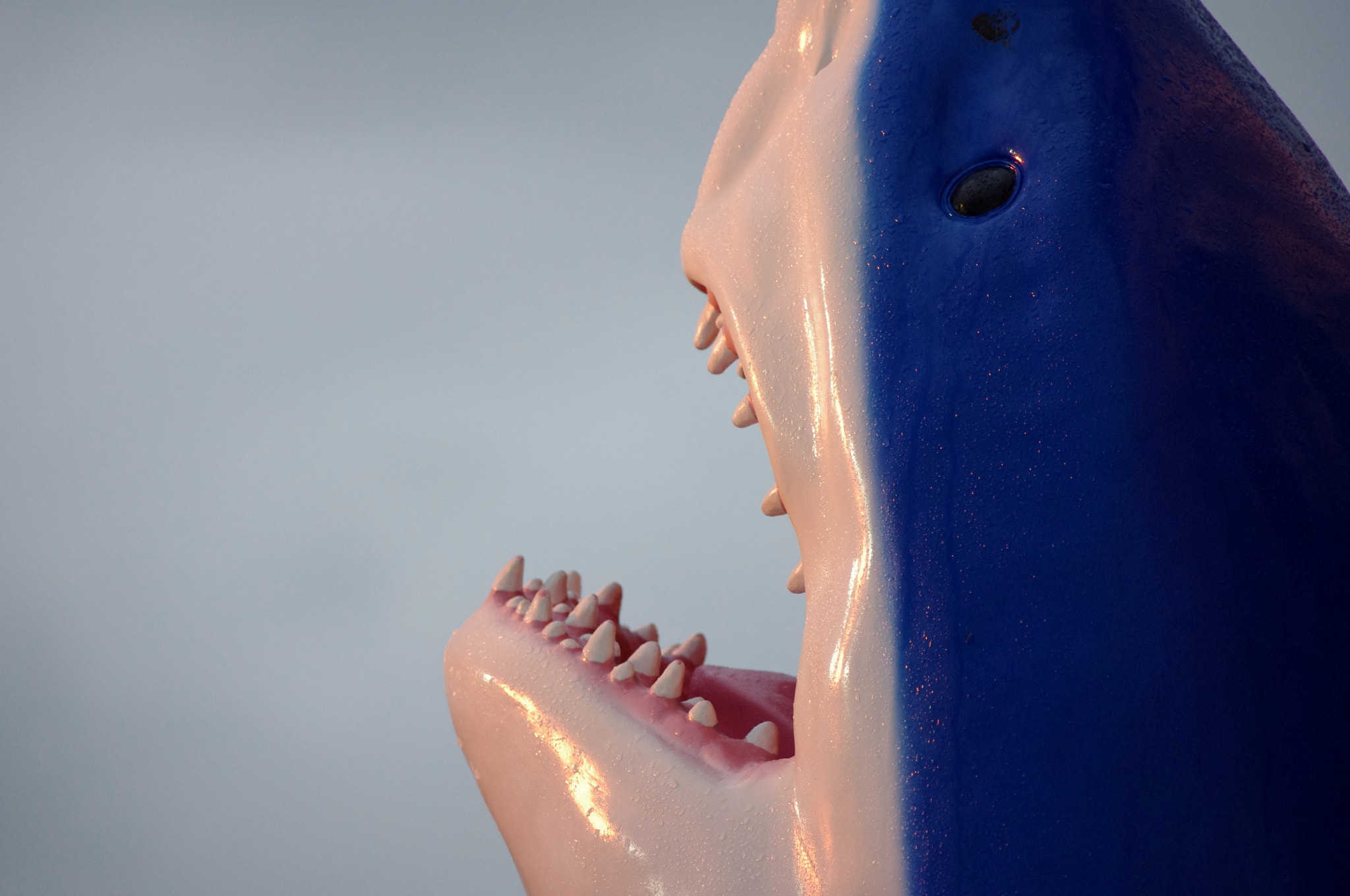 smc PENTAX-DA L 55-300mm F4-5.8 ED sample photo. Jaws photography