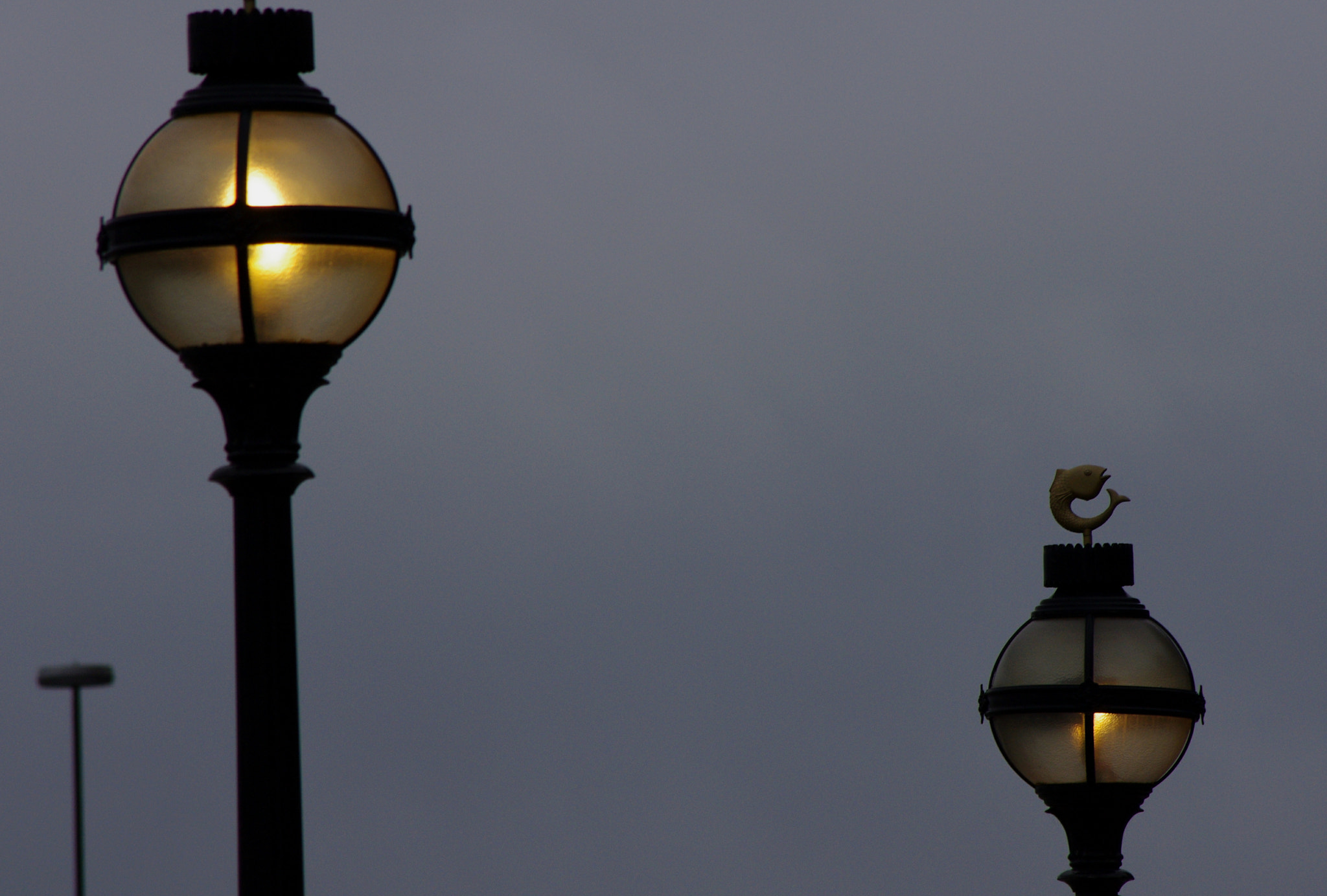 smc PENTAX-DA L 55-300mm F4-5.8 ED sample photo. Lighting up time photography