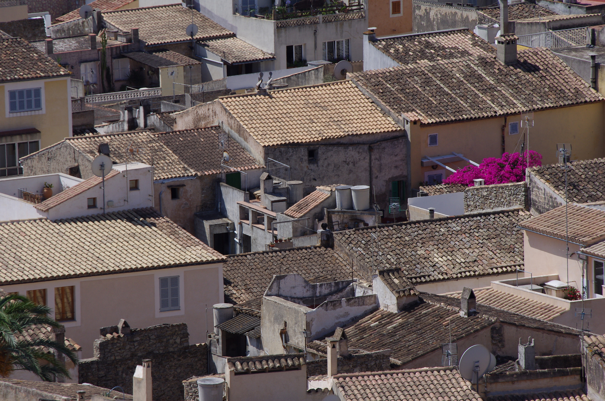 smc PENTAX-DA L 55-300mm F4-5.8 ED sample photo. A splash of colour photography